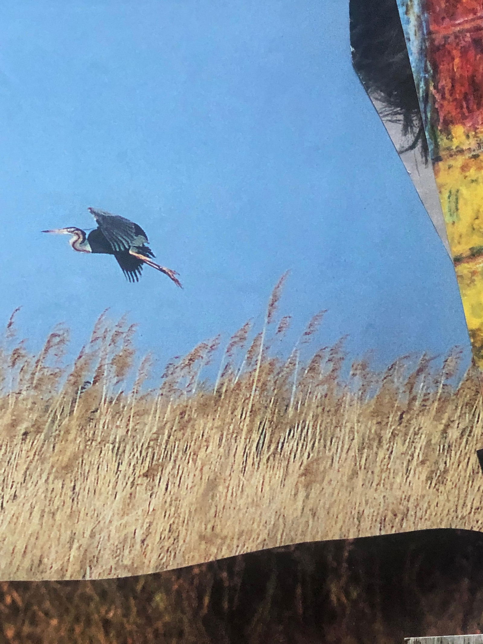 Bernard Herzog; 20th Paris School Collage Cutout Artwork Wonderful Interior Design Options, 20th - 8