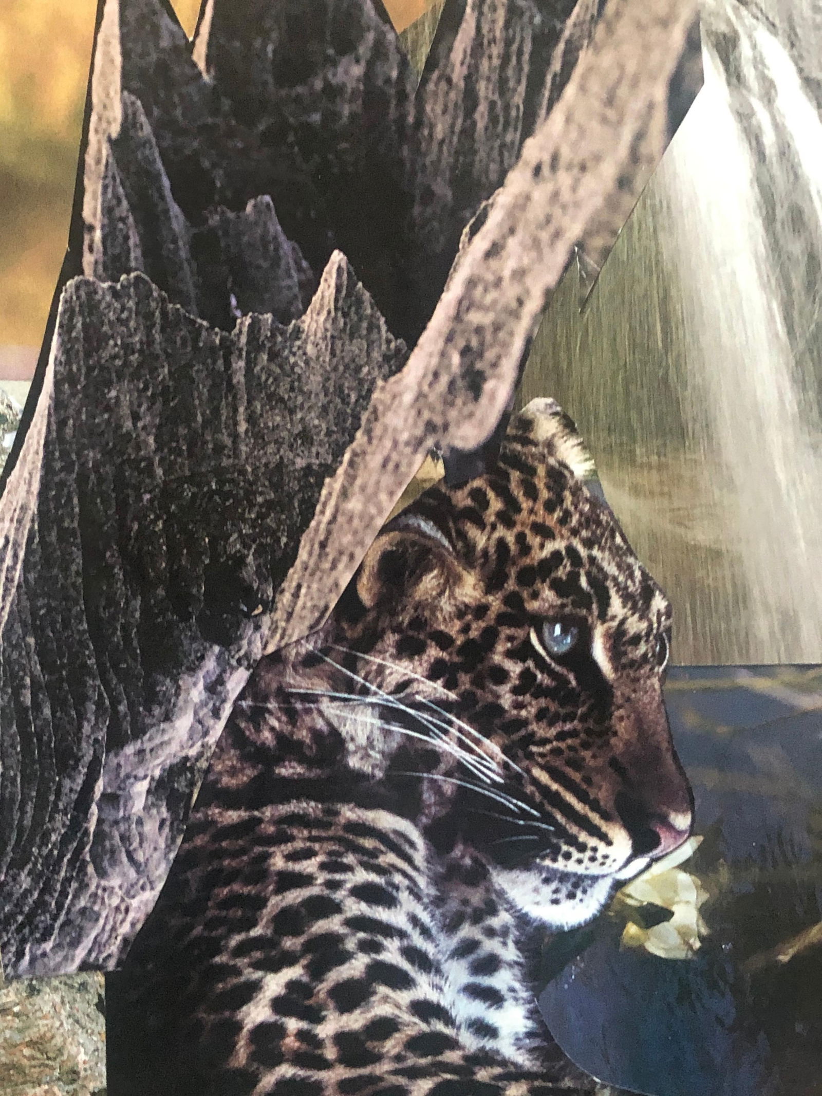 Bernard Herzog; 20th Paris School Collage Cutout Artwork Wonderful Interior Design Options, 20th - 12