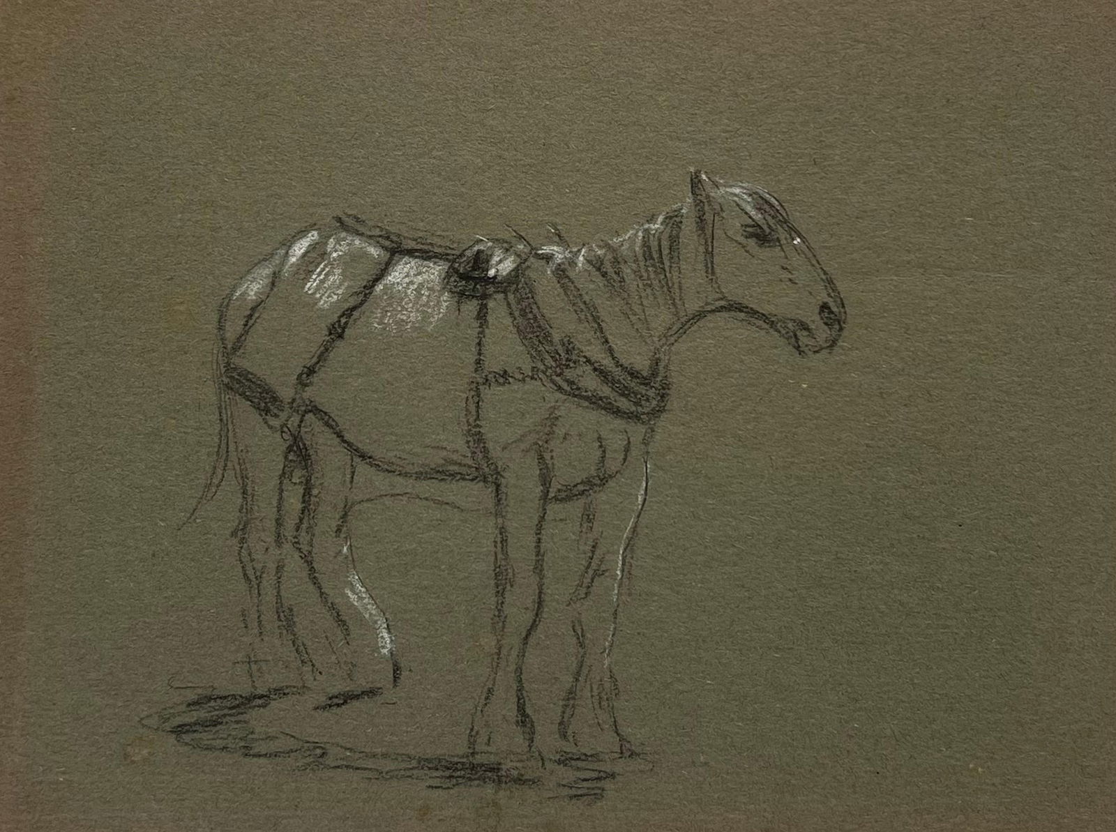 John Rabone Harvey; British Chalk Pencil Sketch of a Ready Horse Tacked Ready To Mount, 1966: Title: John Rabone Harvey; British Chalk Pencil Sketch of a Ready Horse Tacked Ready To Mount, 1966 Description: John Rabone Harvey ( 1966 - 1922) graphic and chalk deep green artist paper , unframed