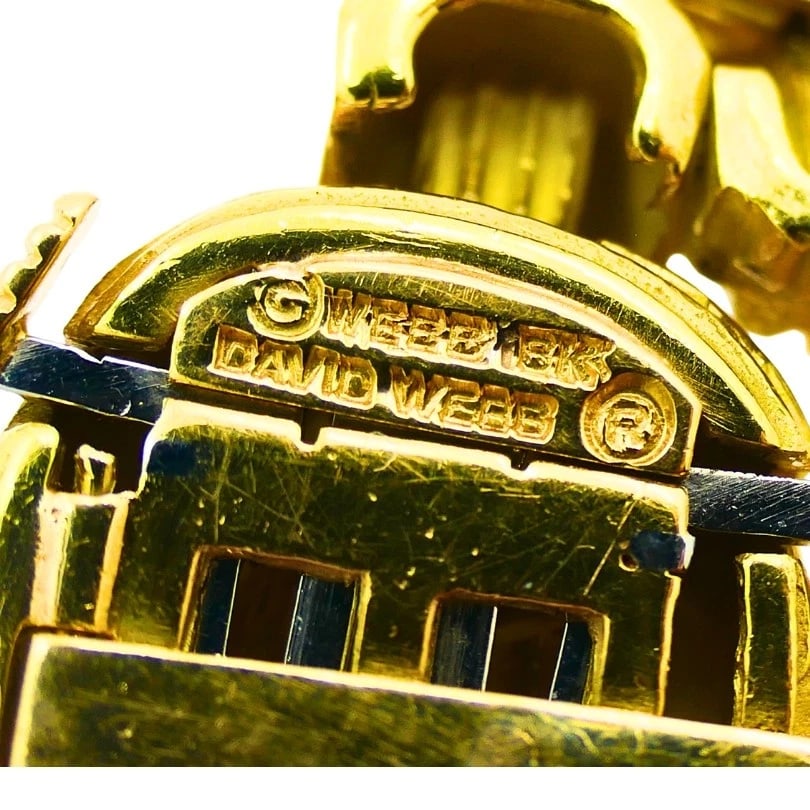 David Webb NECKLACE Sautoir Chain Oval Links 18k Gold Platinum Diamond Brooch - 14