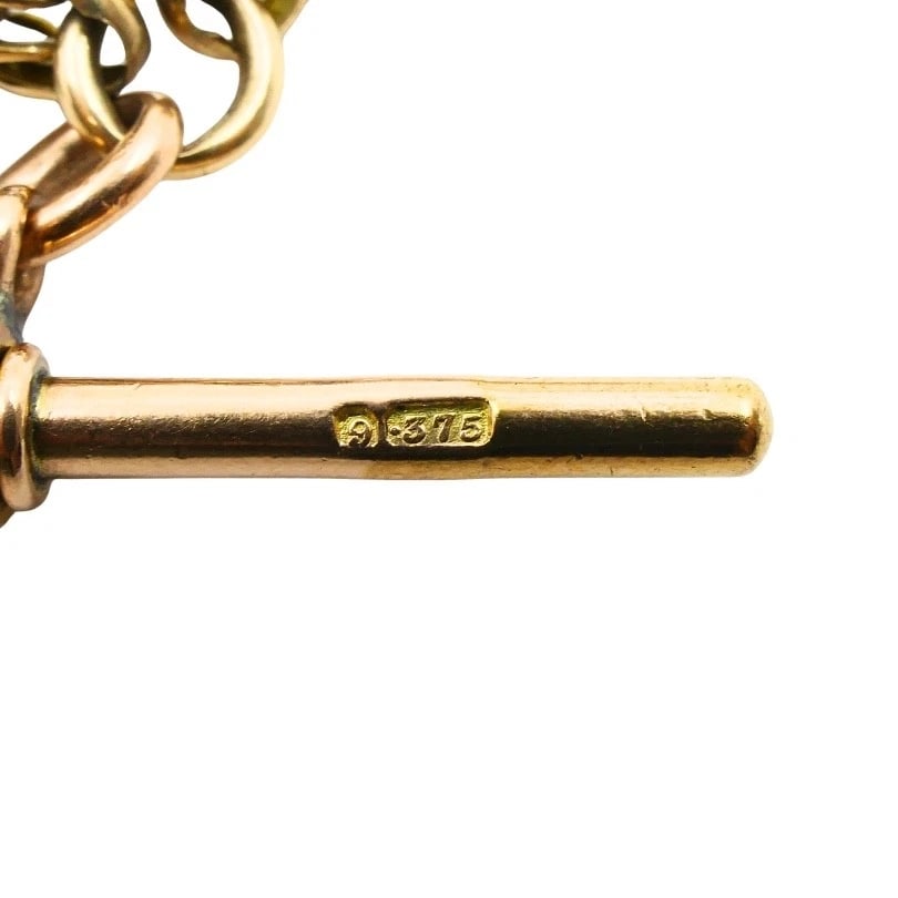 Antique 9k Gold Albert Chain Necklace Bloodstone Agate Pendant - 12