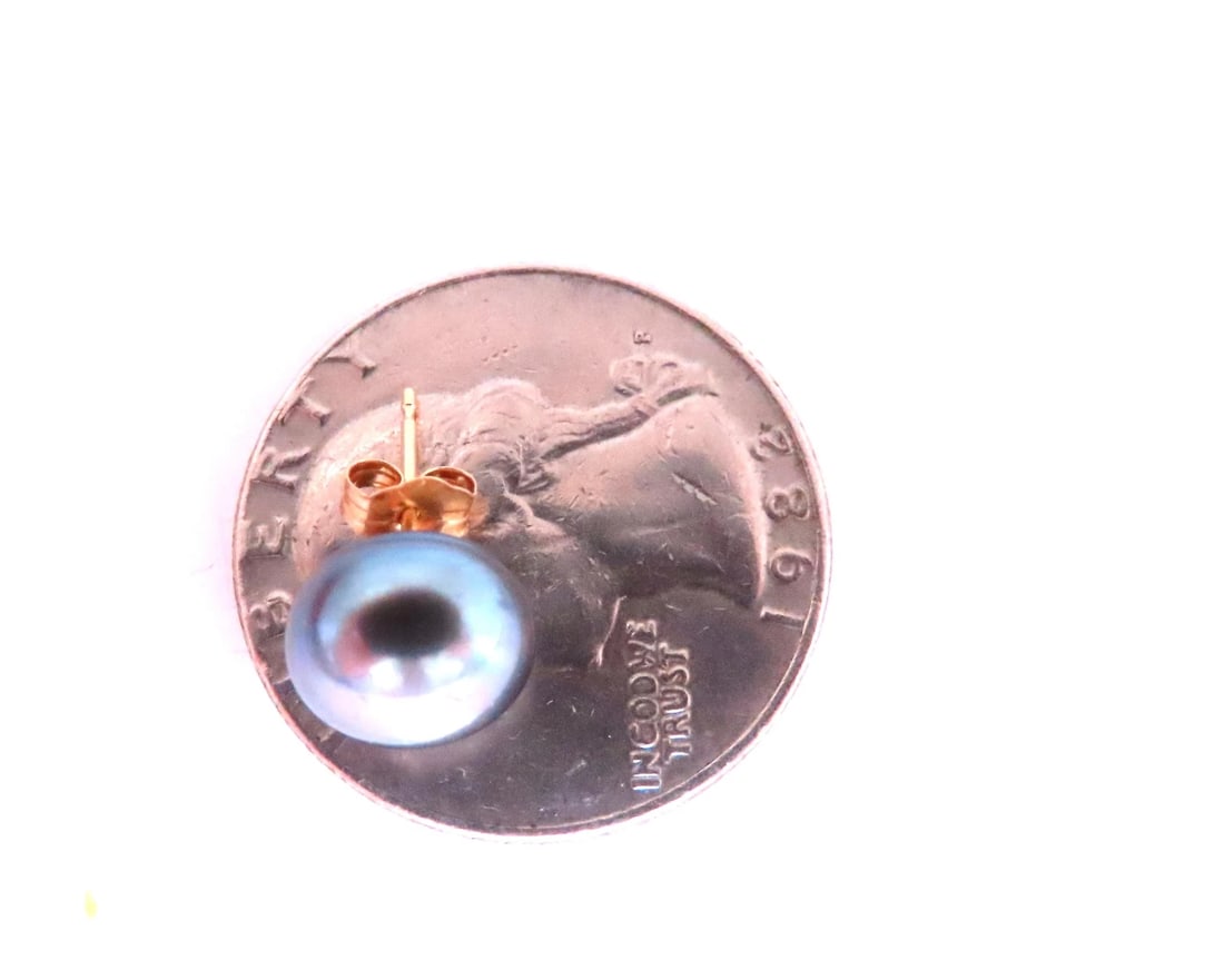 South Seas Peacock Gray Pearl Studs 14kt Gold 12589** - 3