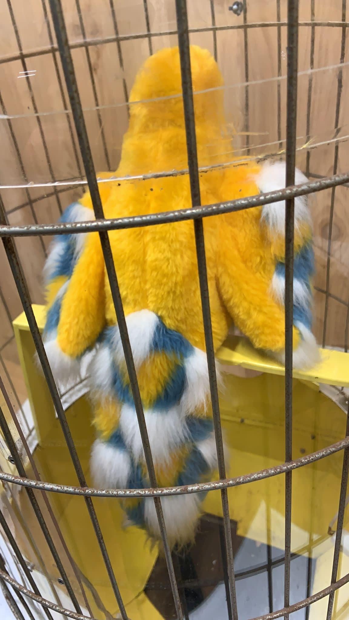 Vintage Gray Hound Talking Parrot Prize Every Time Vending Machine - 10