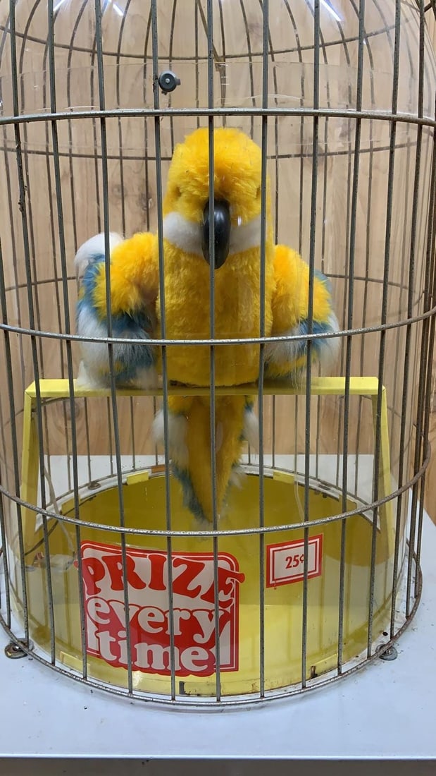 Vintage Gray Hound Talking Parrot Prize Every Time Vending Machine - 3