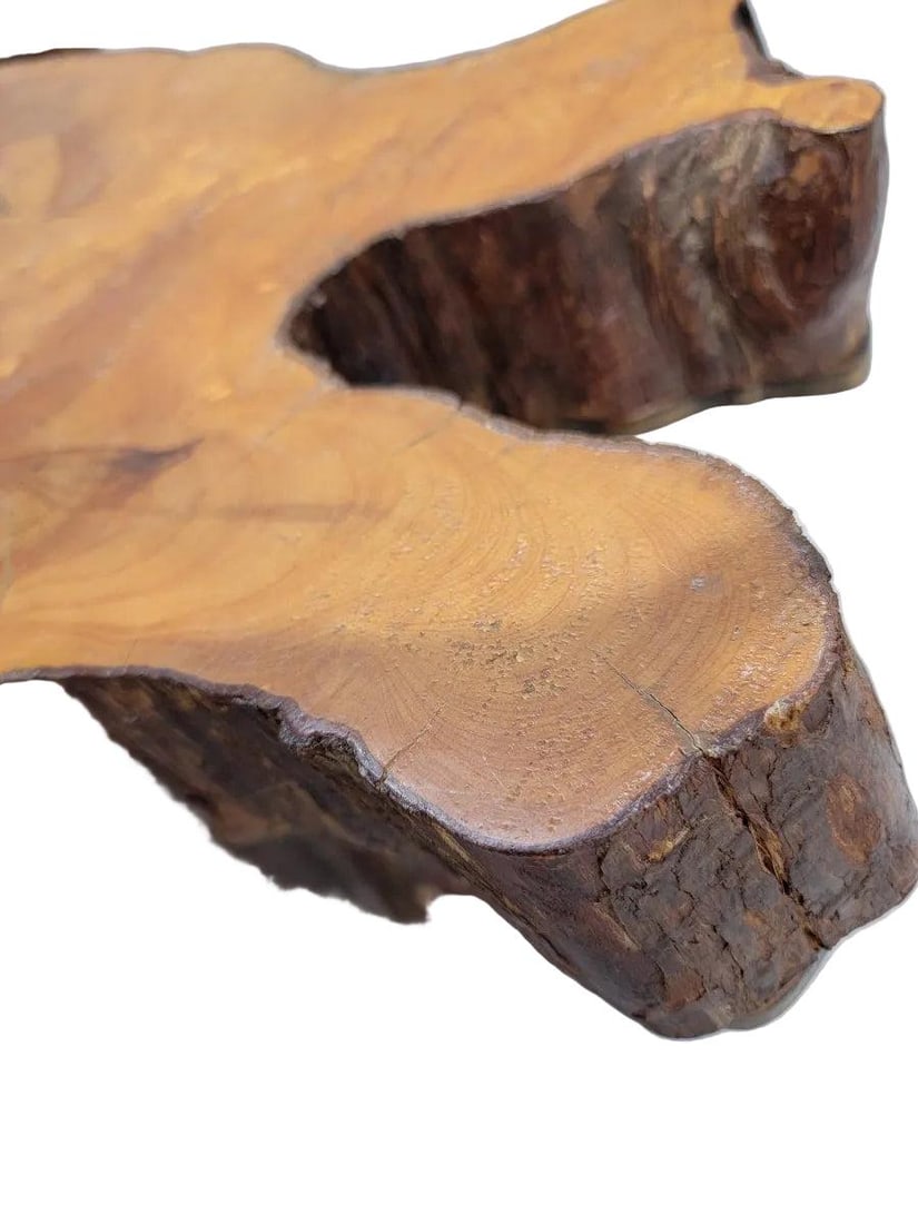 Vintage Live Edge Natural Free-Form Tree Cut Coffee Table - 5