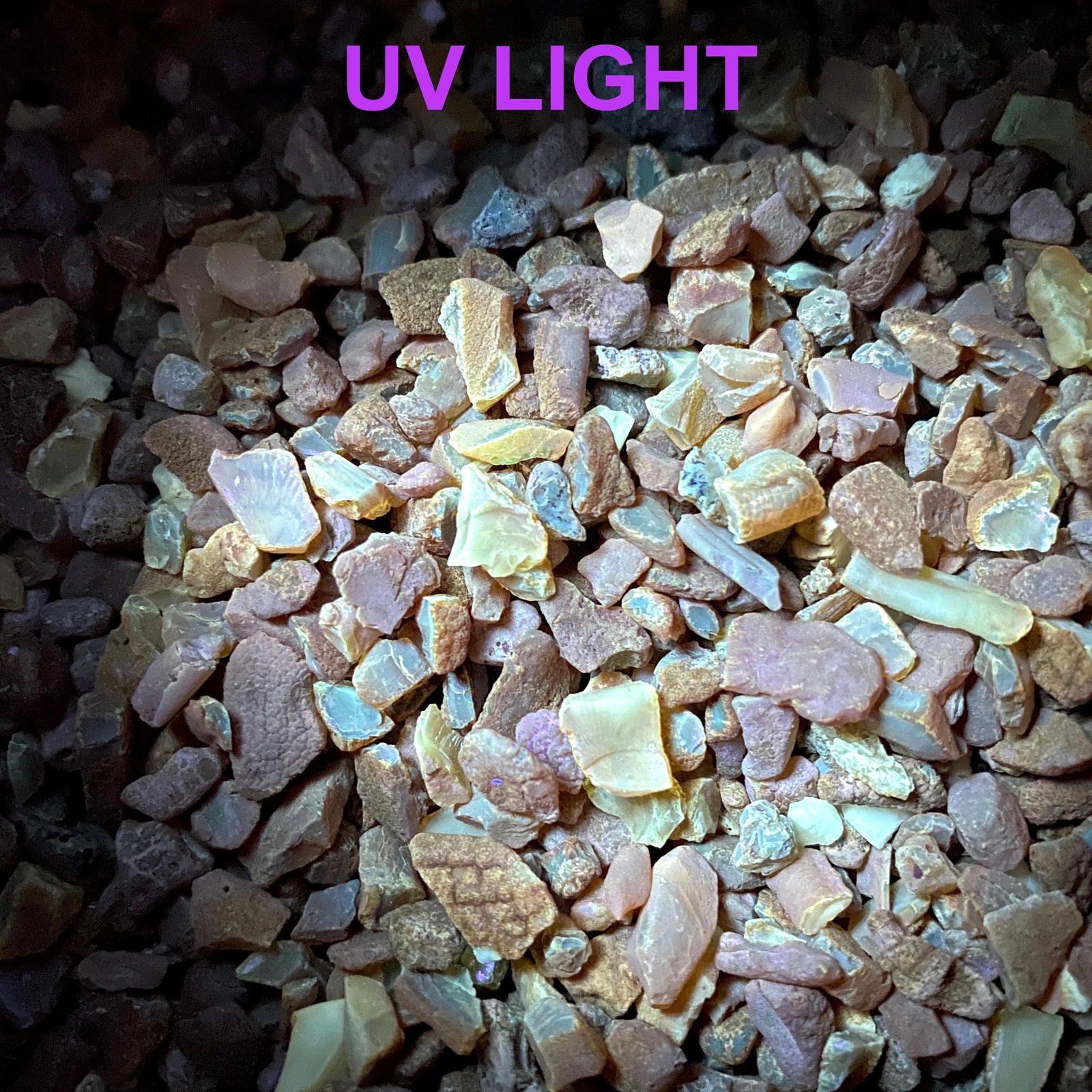 Unique Natural Amber stones of varied size - 8