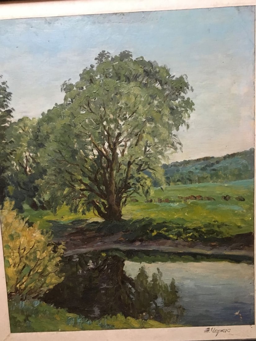 Oil painting Tree pond Alexander Georgievich Cherkass - 2