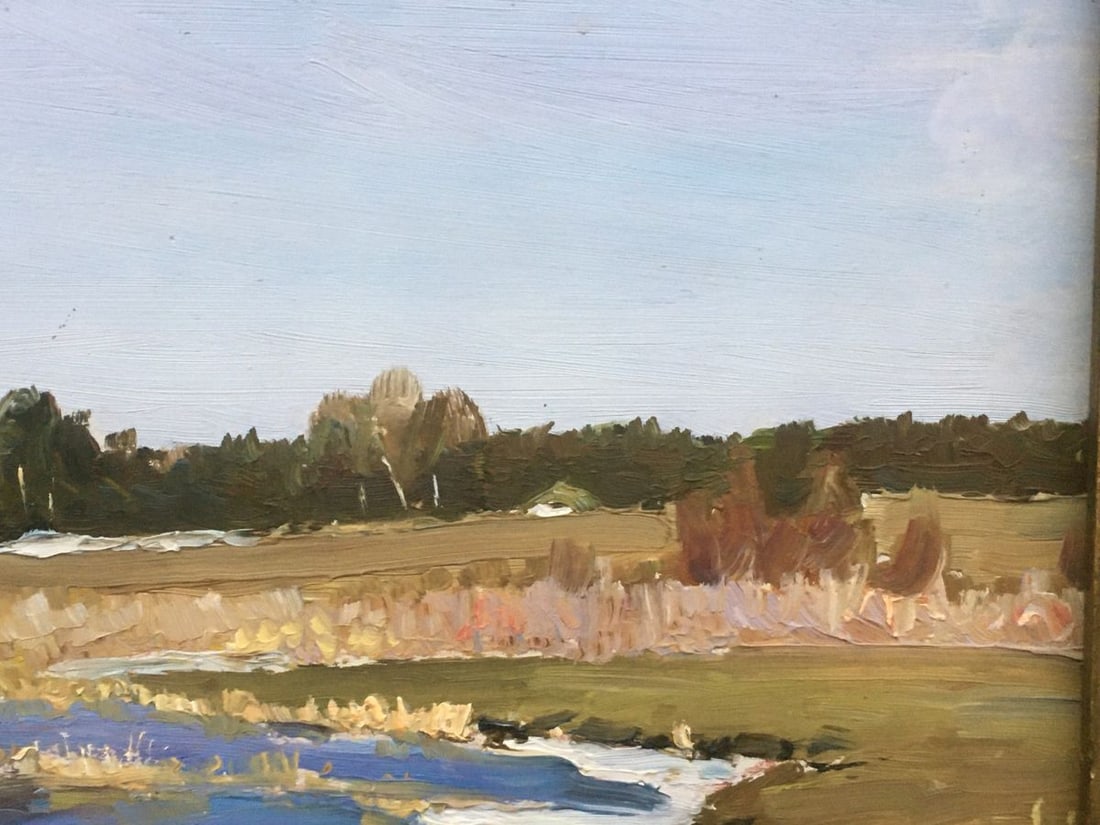 Oil painting Pond Field Ivanenko Vladimir Mikhailovich - 3