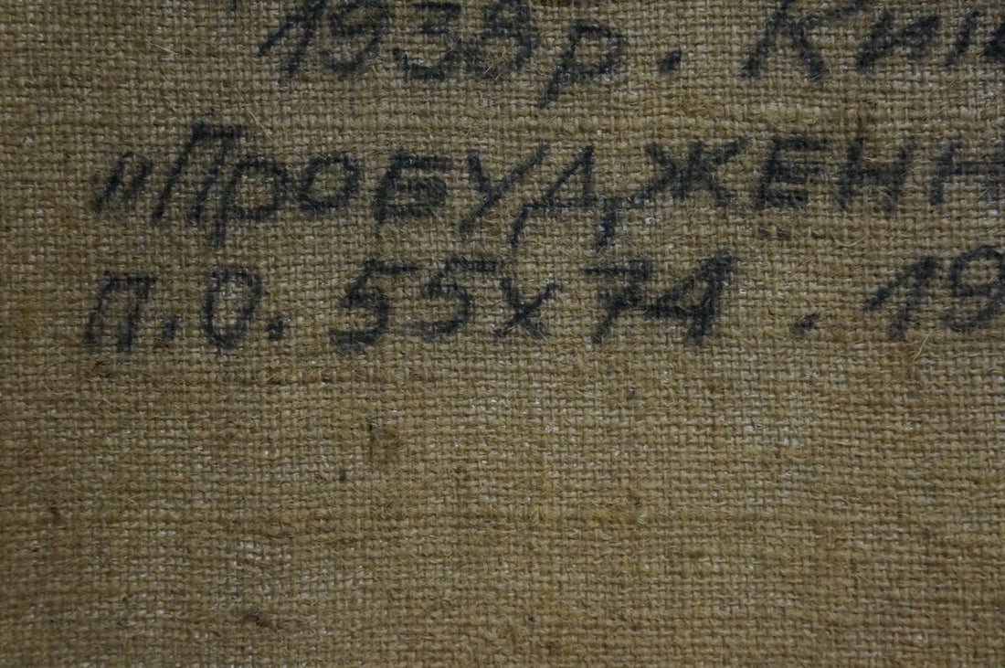 Oil painting Awakening Syrovatka Dmitry Matveevich - 8