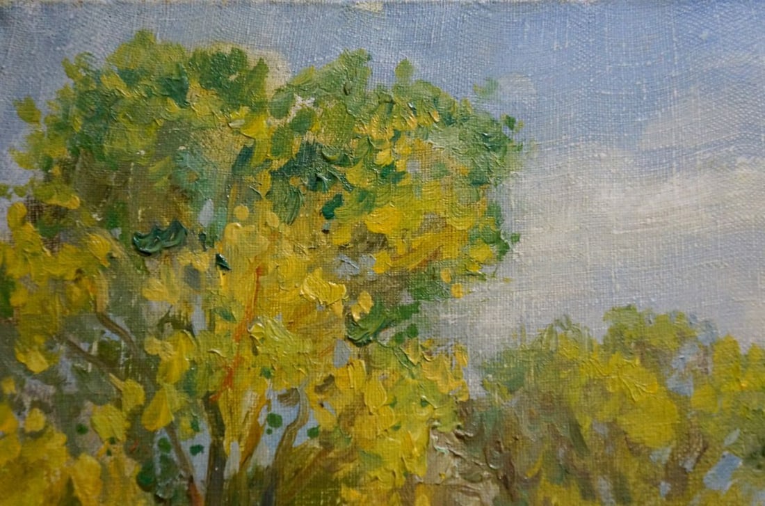 Oil painting Landscape Mynka Alexander Fedorovich - 4