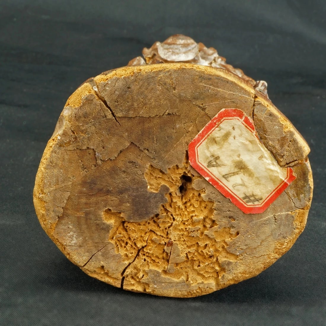 Chinese Ming Carved Wood Courtier Figure - 6