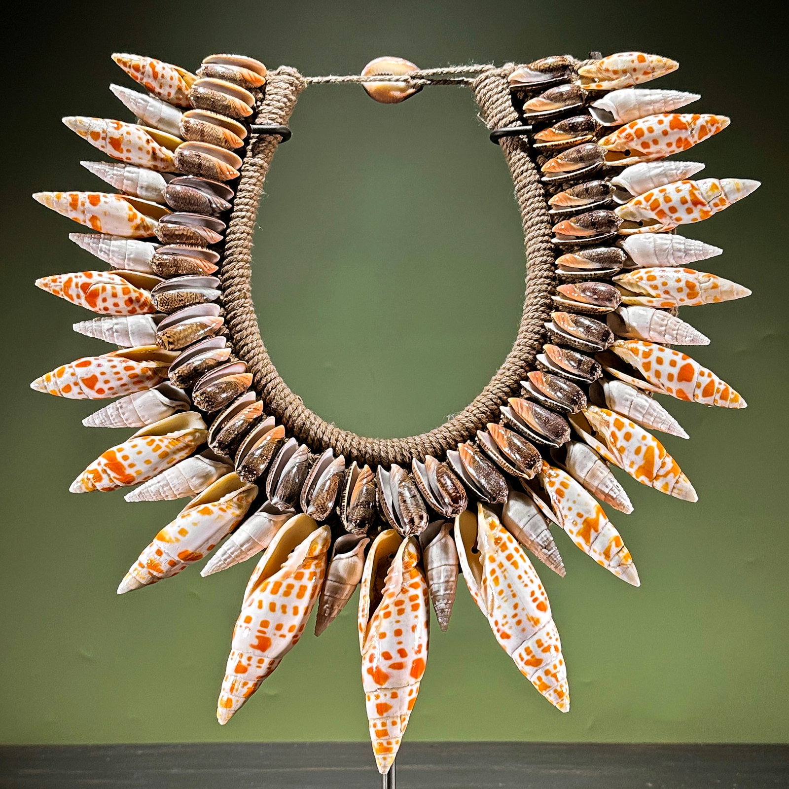 Decorative Papua necklace - Large Burnt Orange Miter Shells - 2