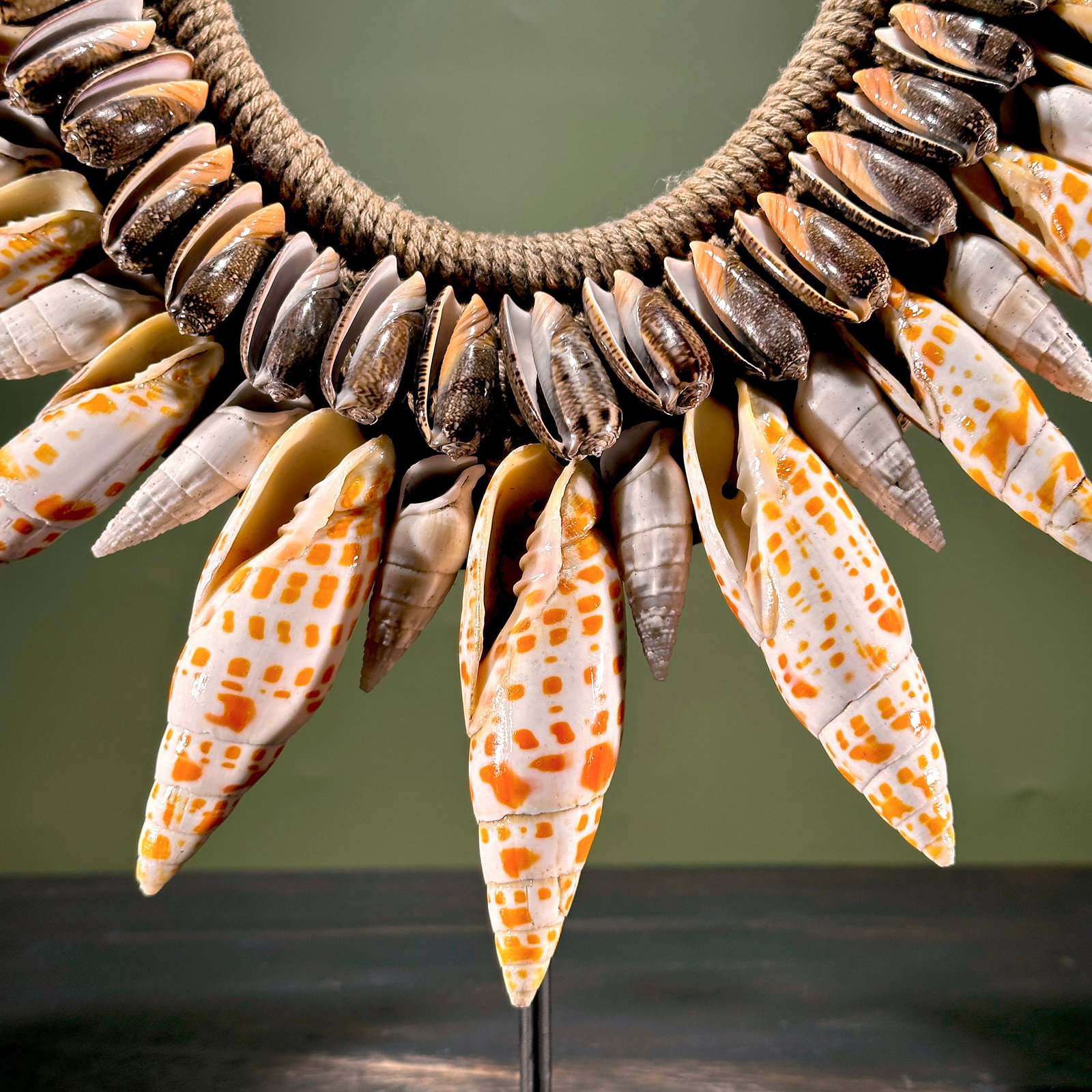 Decorative Papua necklace - Large Burnt Orange Miter Shells - 5