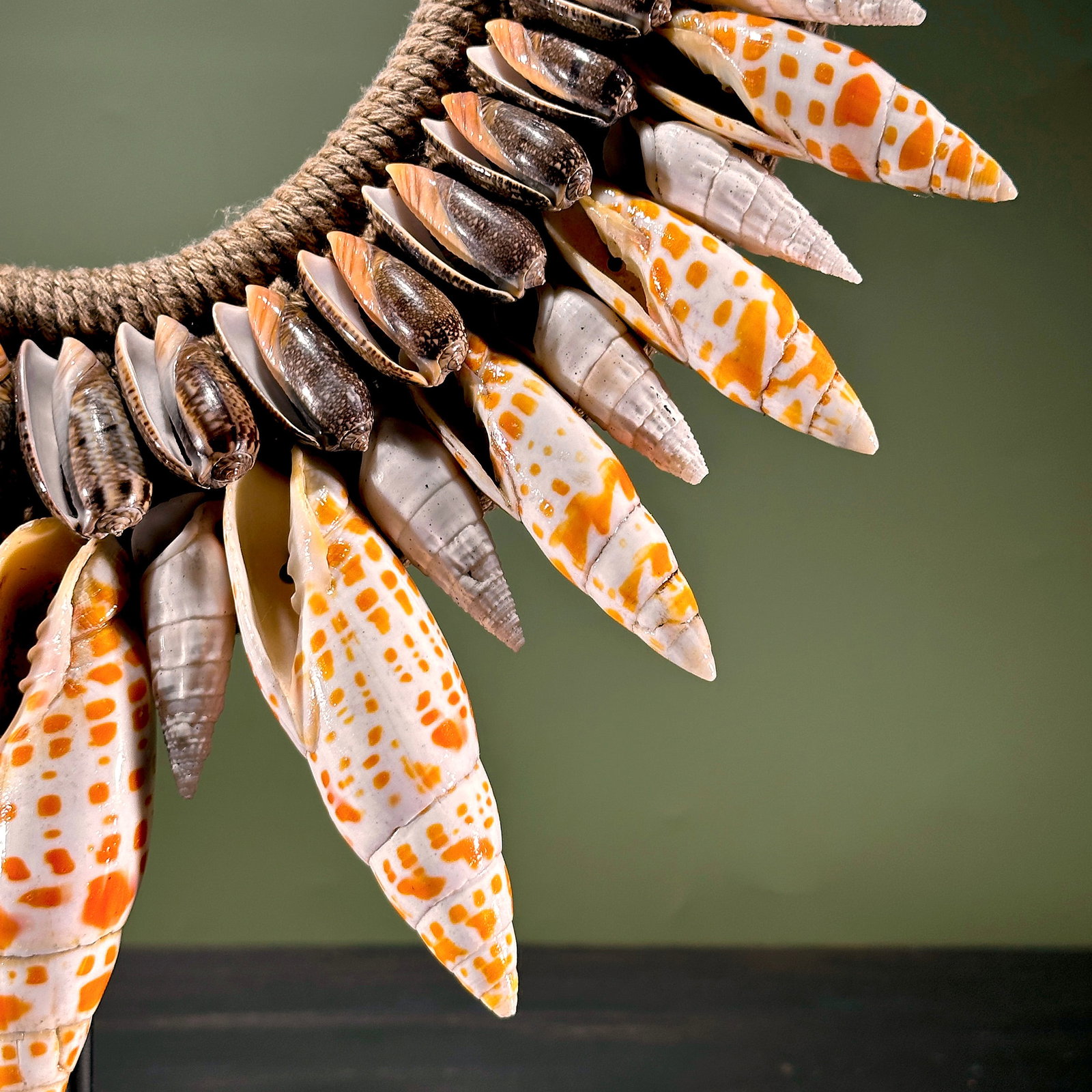 Decorative Papua necklace - Large Burnt Orange Miter Shells - 6