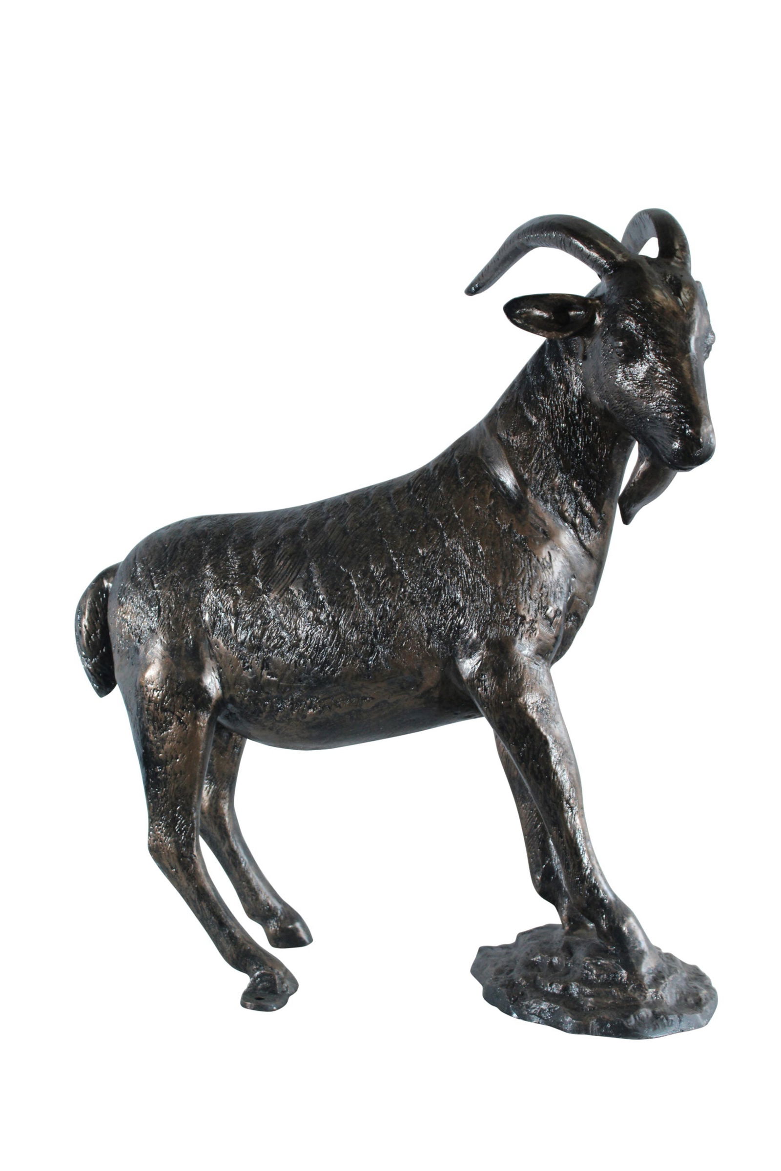 Aluminum Goat Statue with Curved Horns - Bronze-Style Farmhouse & Rustic Decor - 35" x 15" x 39"H: Title:Aluminum Goat Statue with Curved Horns - Bronze-Style Farmhouse & Rustic Decor - 35" x 15" x 39"HDescription:This aluminum goat statue features realistic detail and gracefully curved horns,