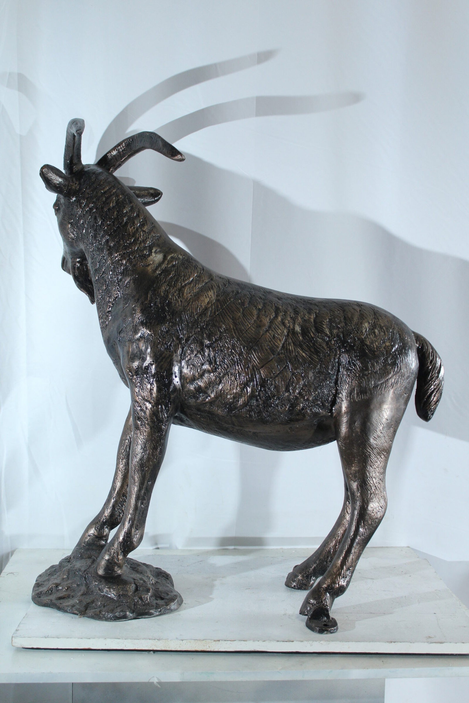Aluminum Goat Statue with Curved Horns - Bronze-Style Farmhouse & Rustic Decor - 35" x 15" x 39"H - 4