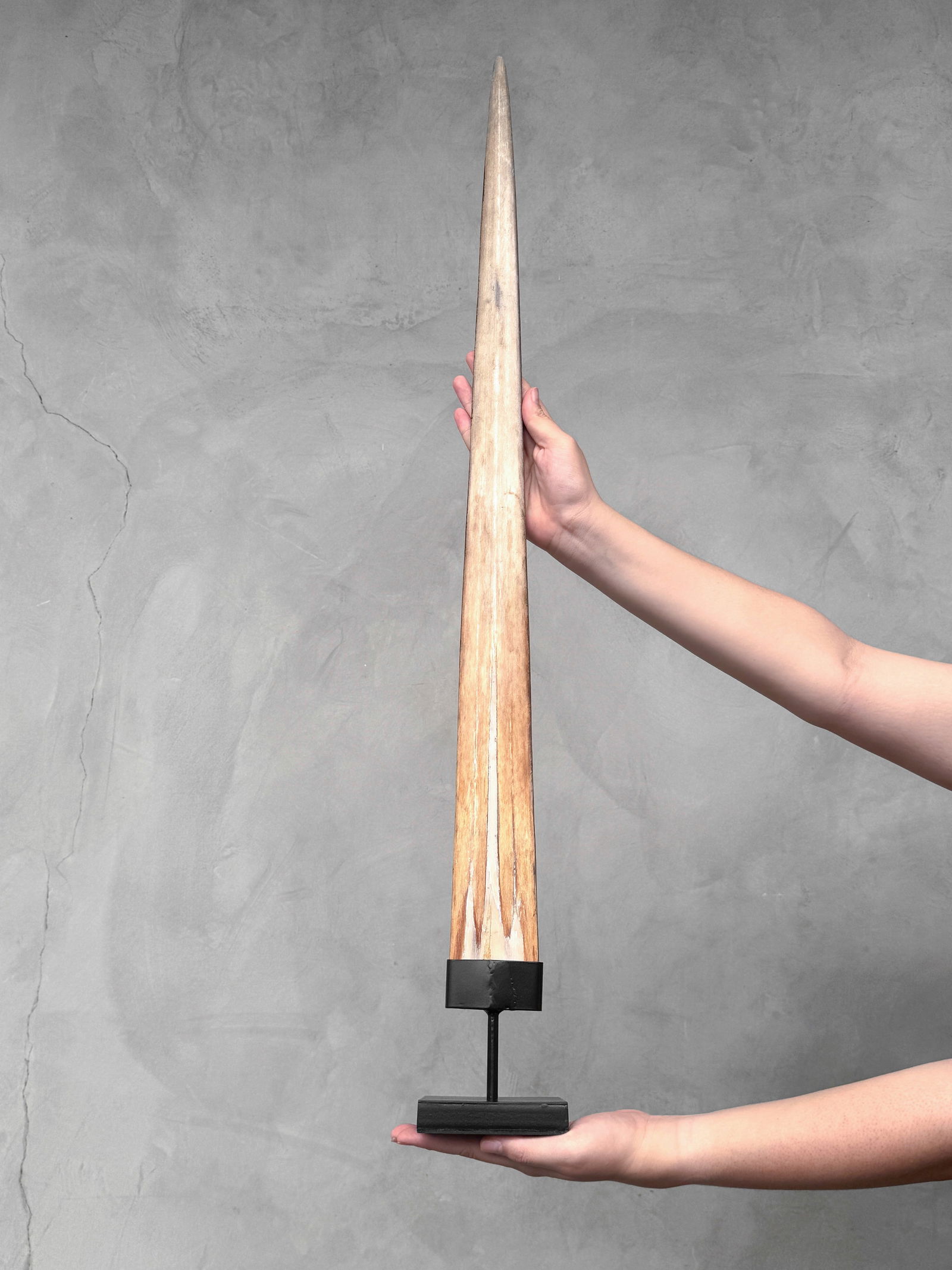 Large swordfish tusk - Wheku & Tiki - 2