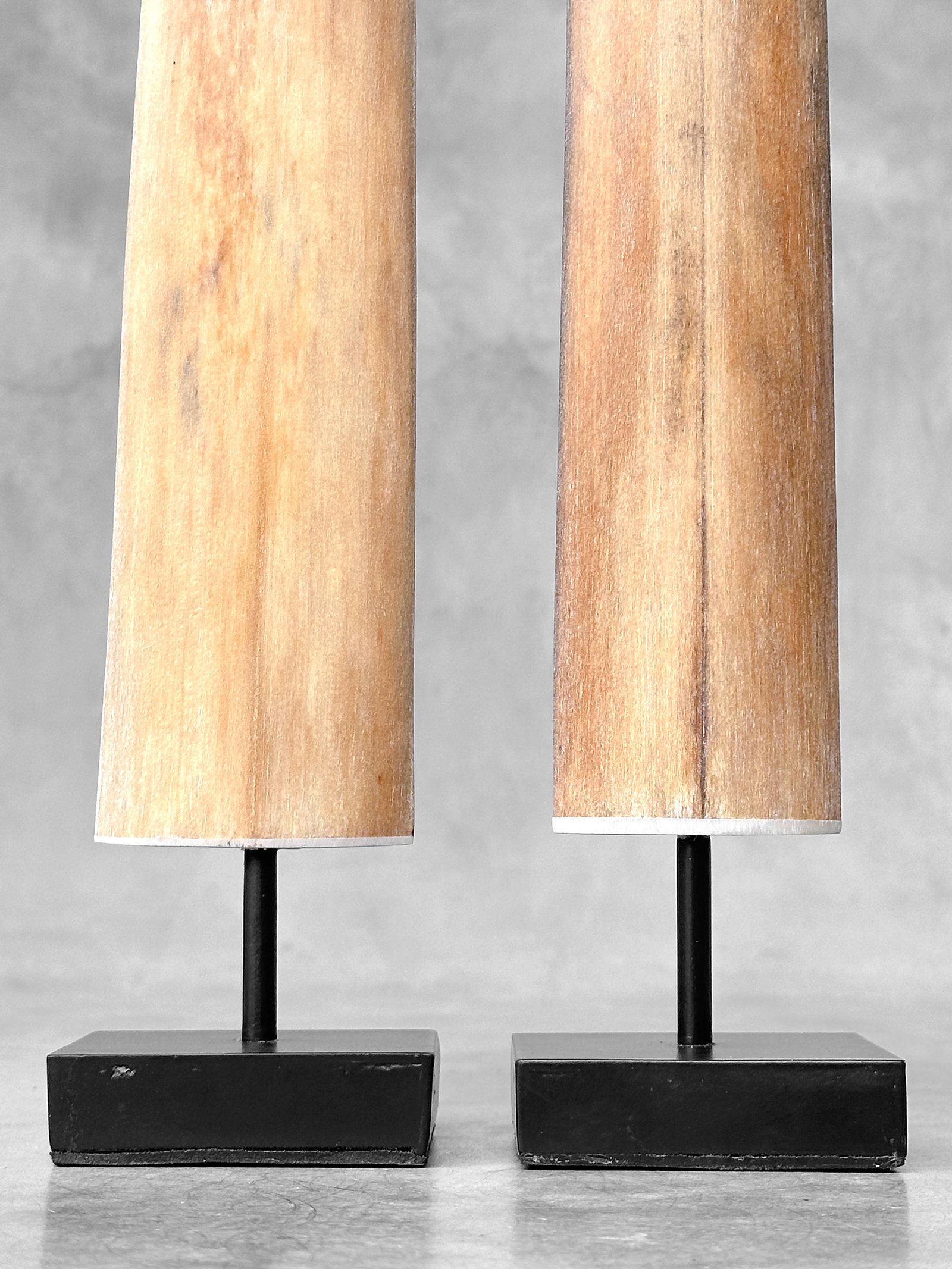 Pair of swordfish tusks with custom stands - 4