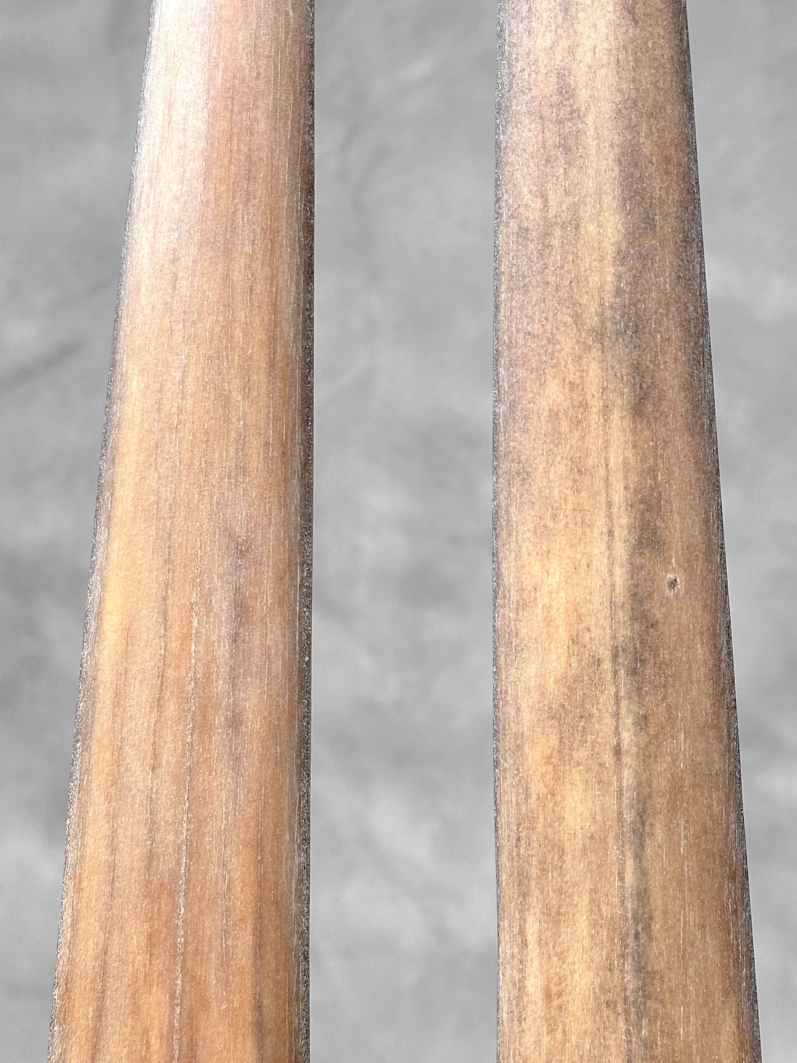 Pair of swordfish tusks with custom stands - 7