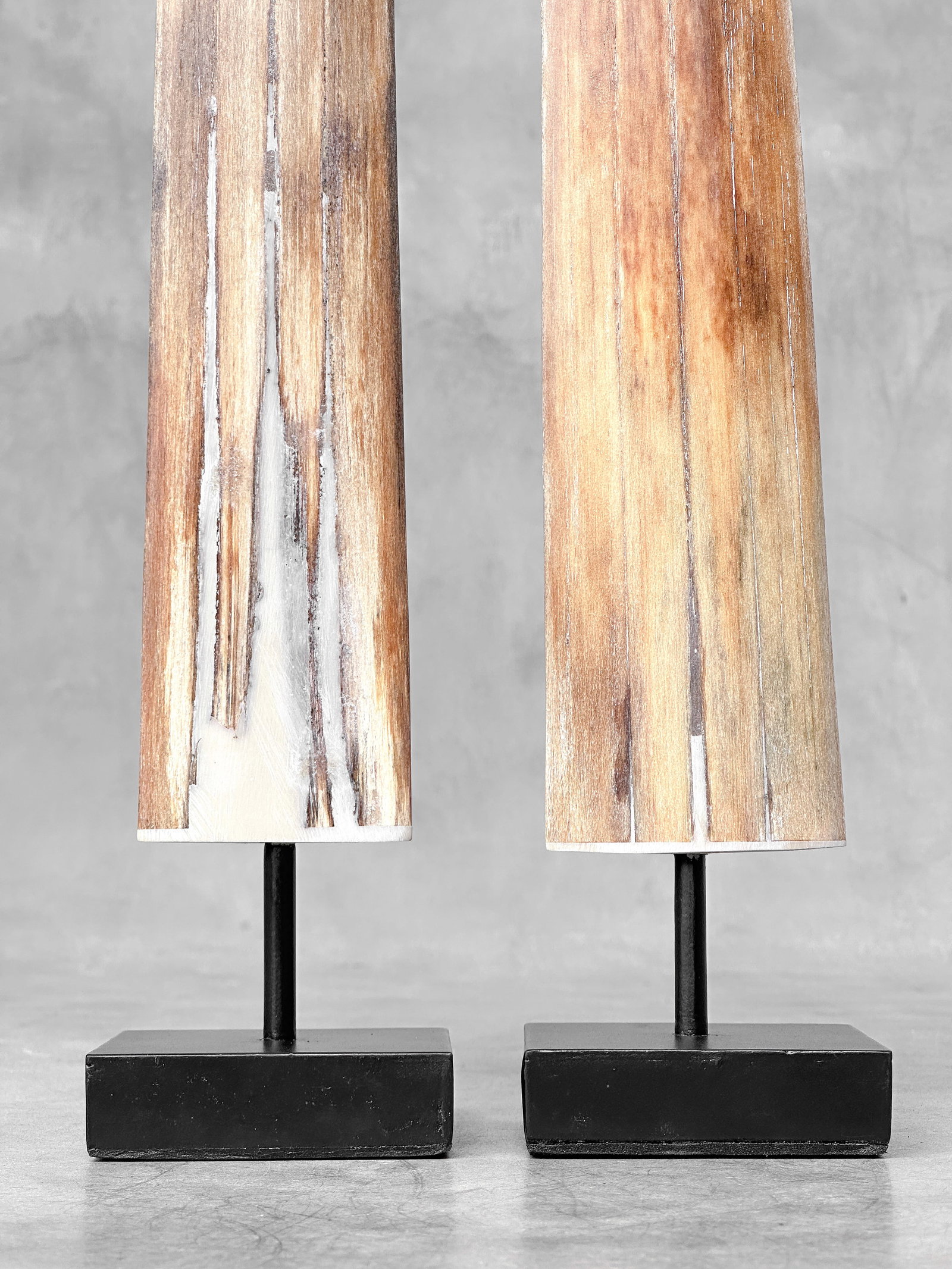Pair of swordfish tusks with custom stands - 9