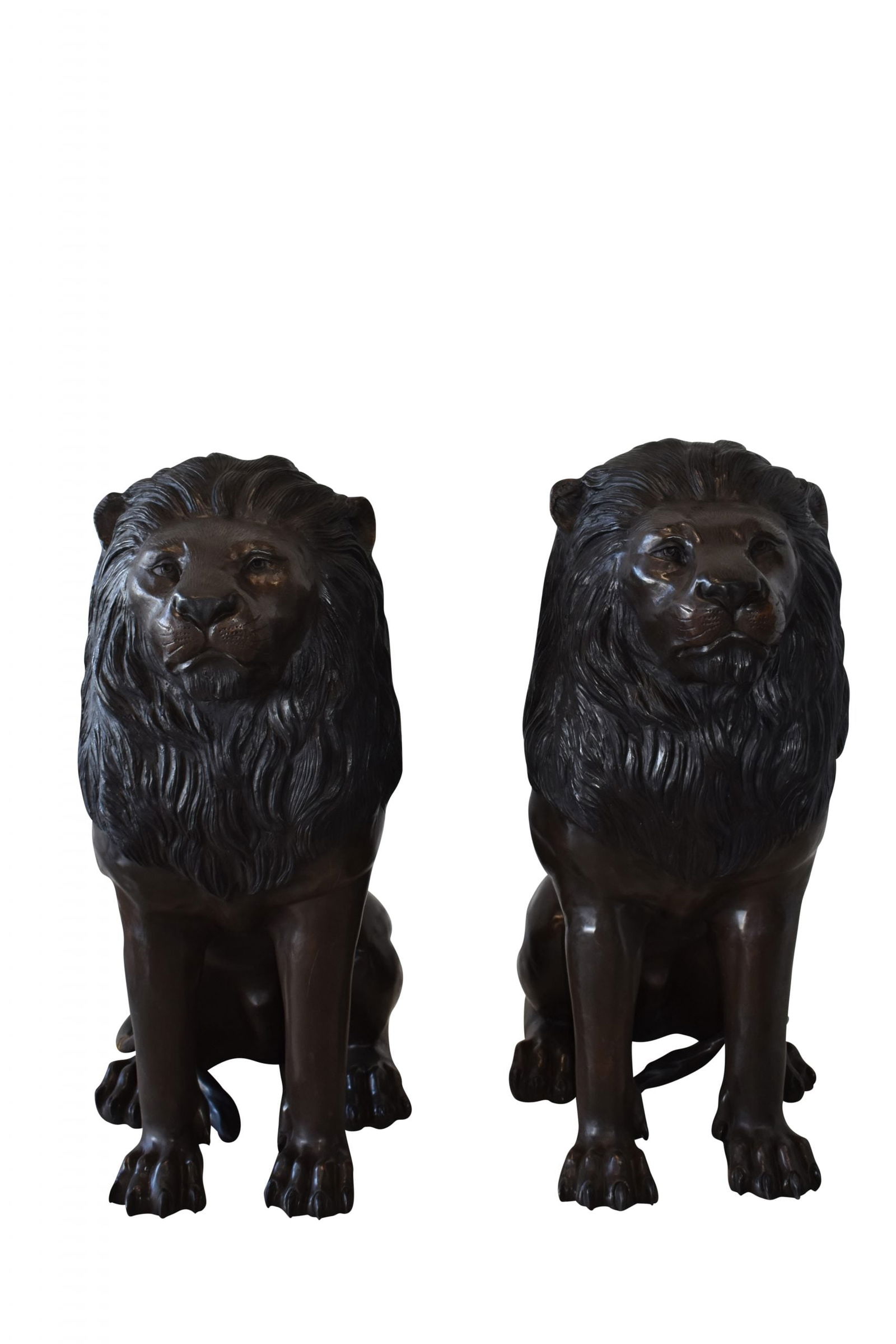 A Pair of Large Lions Sitting Side by Side Bronze Statues Size: 23" x 33" x 46"H: Title:A Pair of Large Lions Sitting Side by Side Bronze Statues Size: 23" x 33" x 46"HDescription:These two large-size lions are pridefully sitting, looking away from one another and watching the