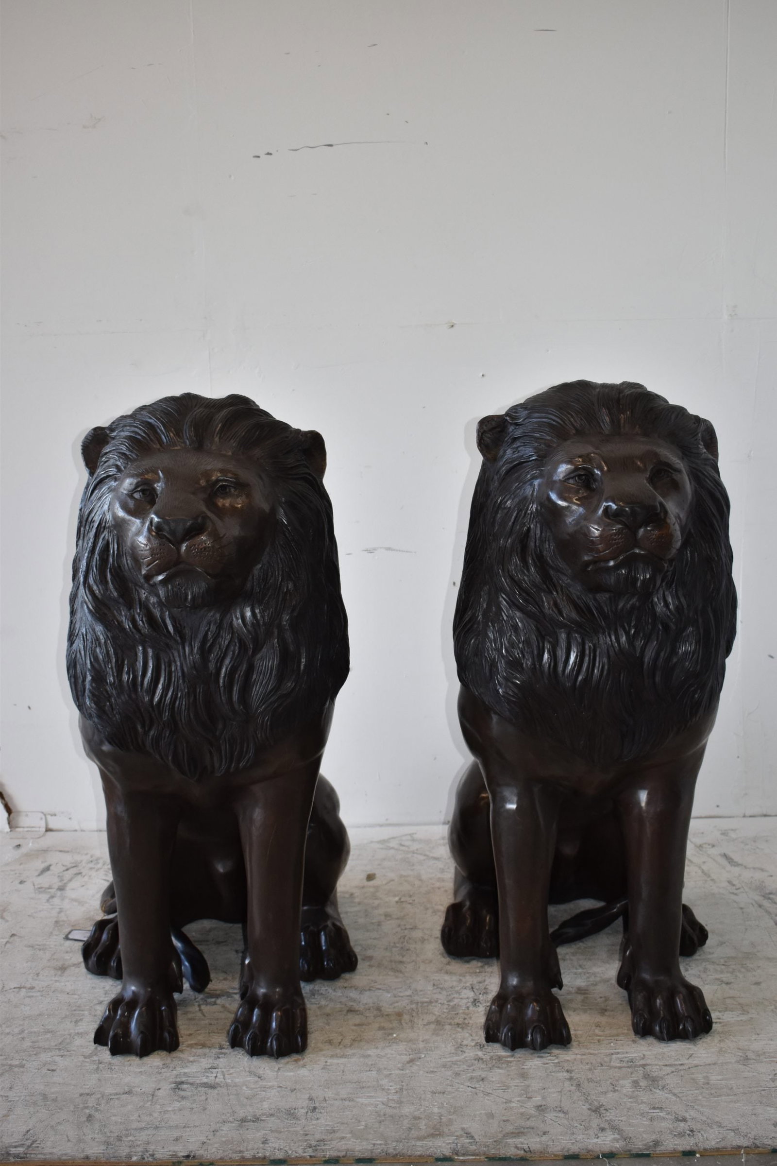 A Pair of Large Lions Sitting Side by Side Bronze Statues Size: 23" x 33" x 46"H - 2