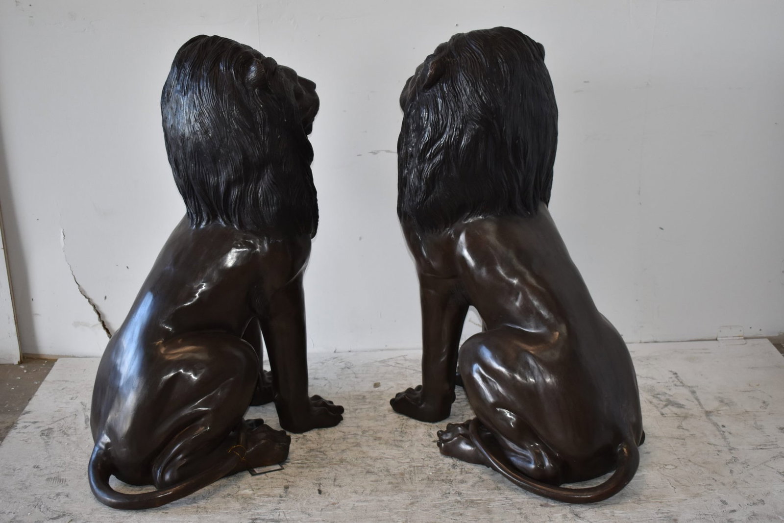 A Pair of Large Lions Sitting Side by Side Bronze Statues Size: 23" x 33" x 46"H - 8