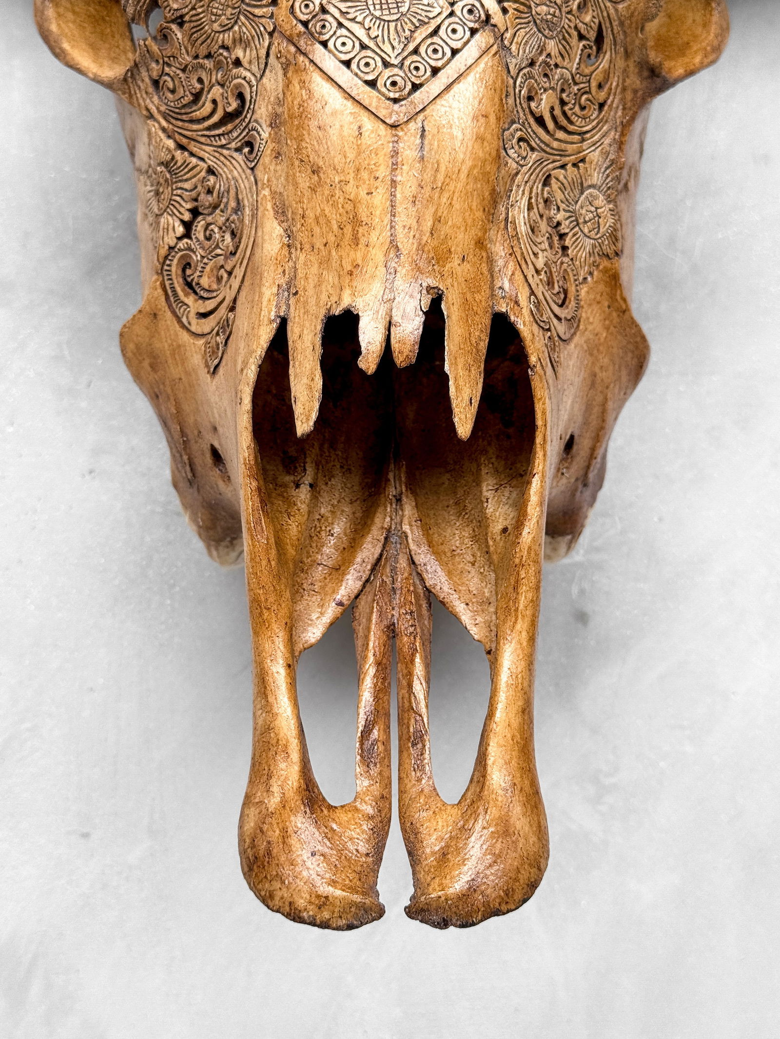 Carved brown buffalo skull - Ketupat motif - 5