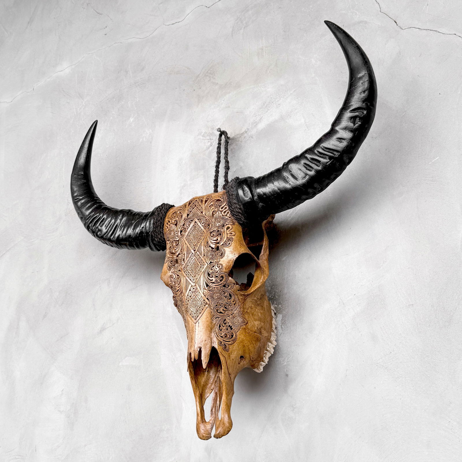 Carved brown buffalo skull - Ketupat motif - 8