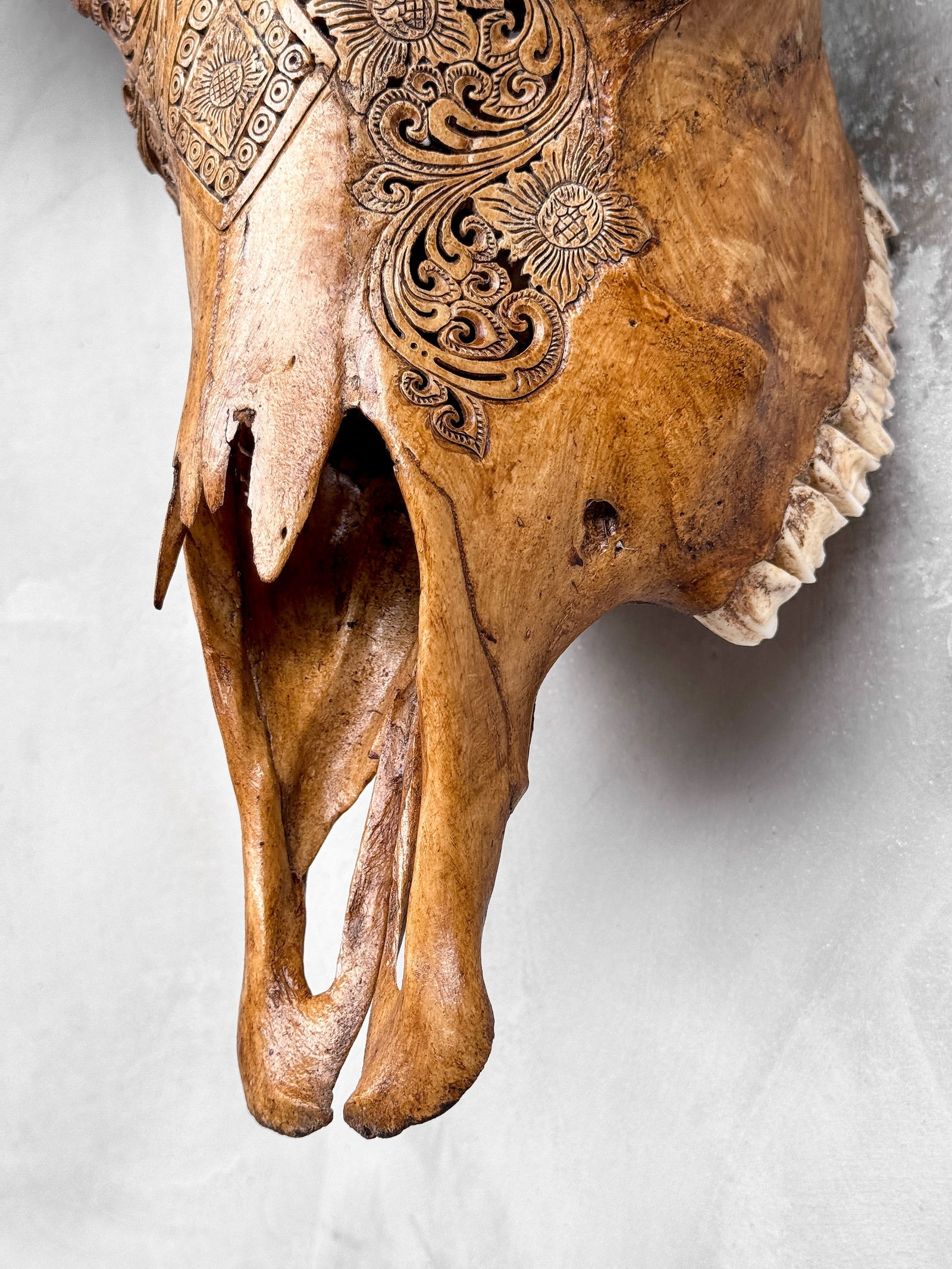 Carved brown buffalo skull - Ketupat motif - 9