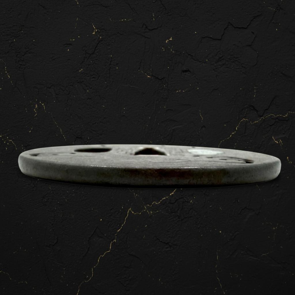 Iron Sukashi Tsuba with Plovers and Waves, Inshu Suruga School, Antique Edo Sword Fitting - 10