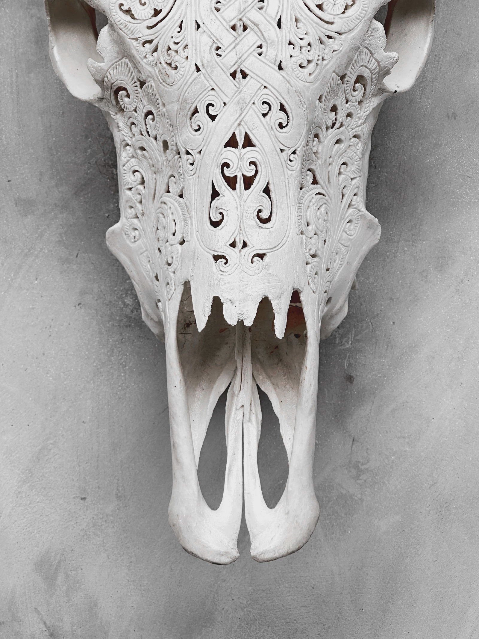 Carved Cow Skull with carved horns - Infinity Motif - 5