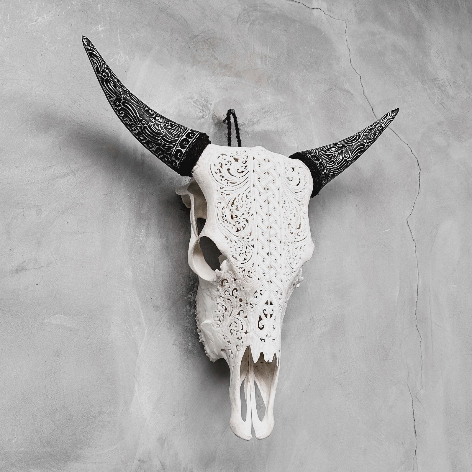 Carved Cow Skull with carved horns - Infinity Motif - 6