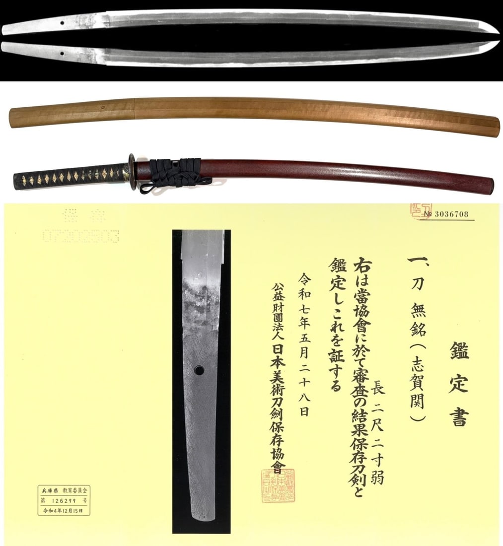 NBTHK Hozon Certified Japanese Katana Sword, Shiga-zeki School, Mid Muromachi Period - 2