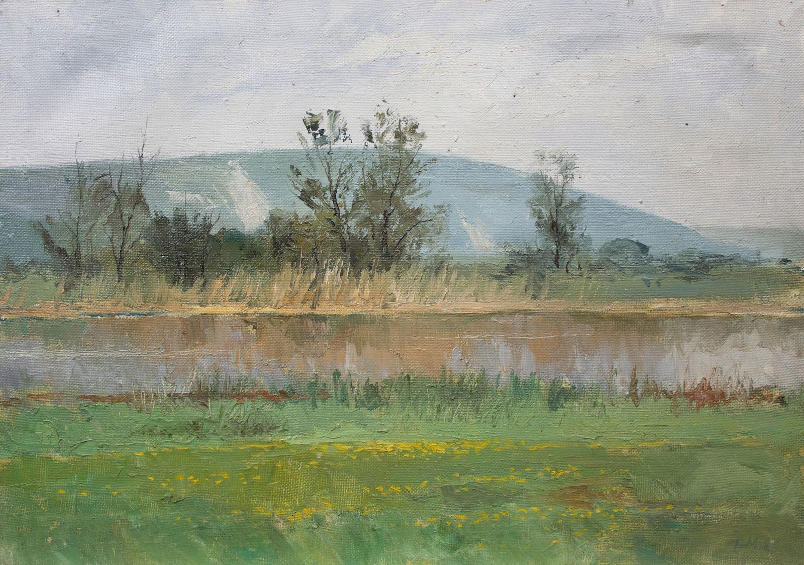 Mishnev Viktor (Ukrainian artist), "Aidar river", oil on canvas (1 of 4)