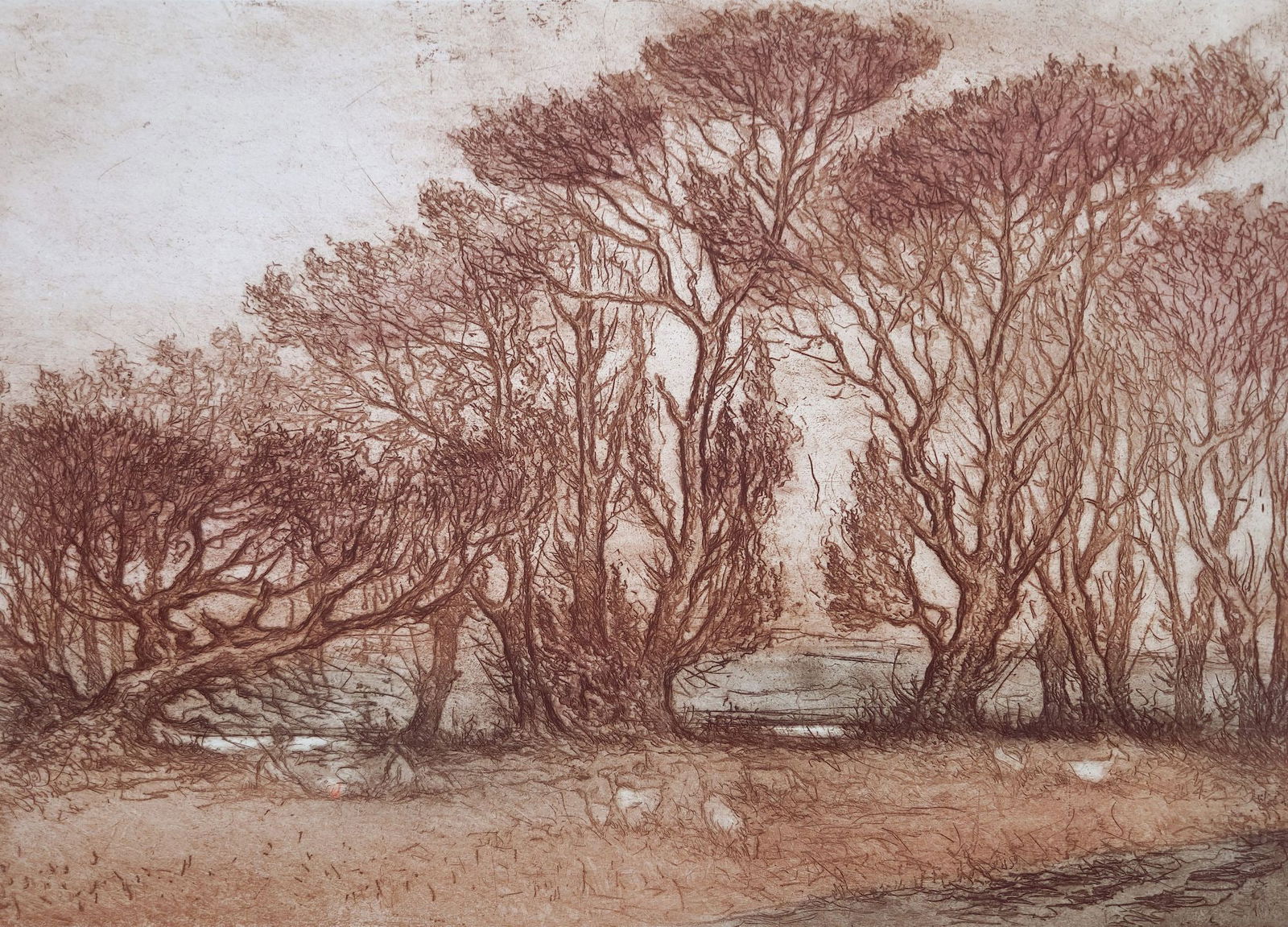 Deregus Mykhaylo (Ukrainian artist), "Naked tree", etching on paper (1 of 3)