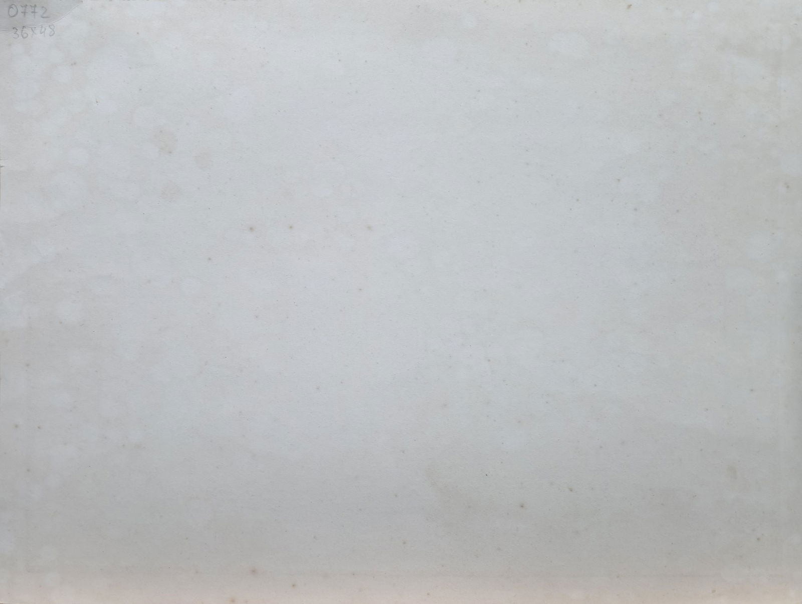 Deregus Mykhaylo (Ukrainian artist), "Naked tree", etching on paper - 3