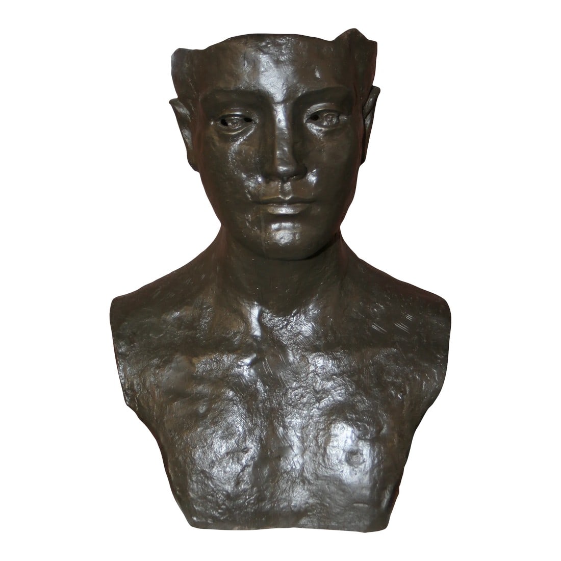 Early 21st Century Ztianee Cast Iron Bust (1 of 9)