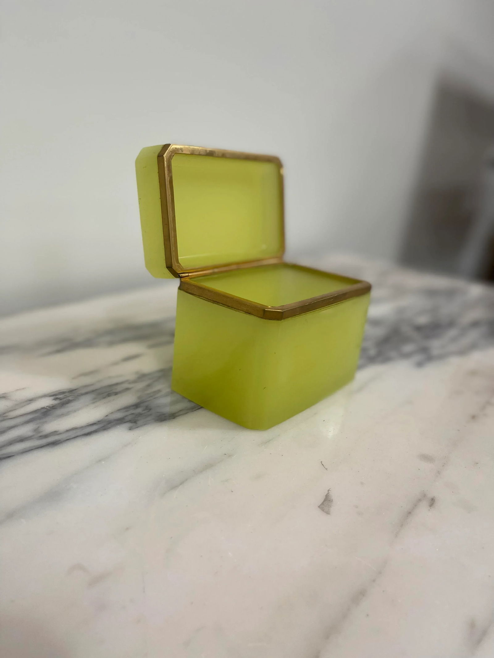 19th Century Antique Rectangular Opaline Glass Casket Box With Bronze Mounts - 2
