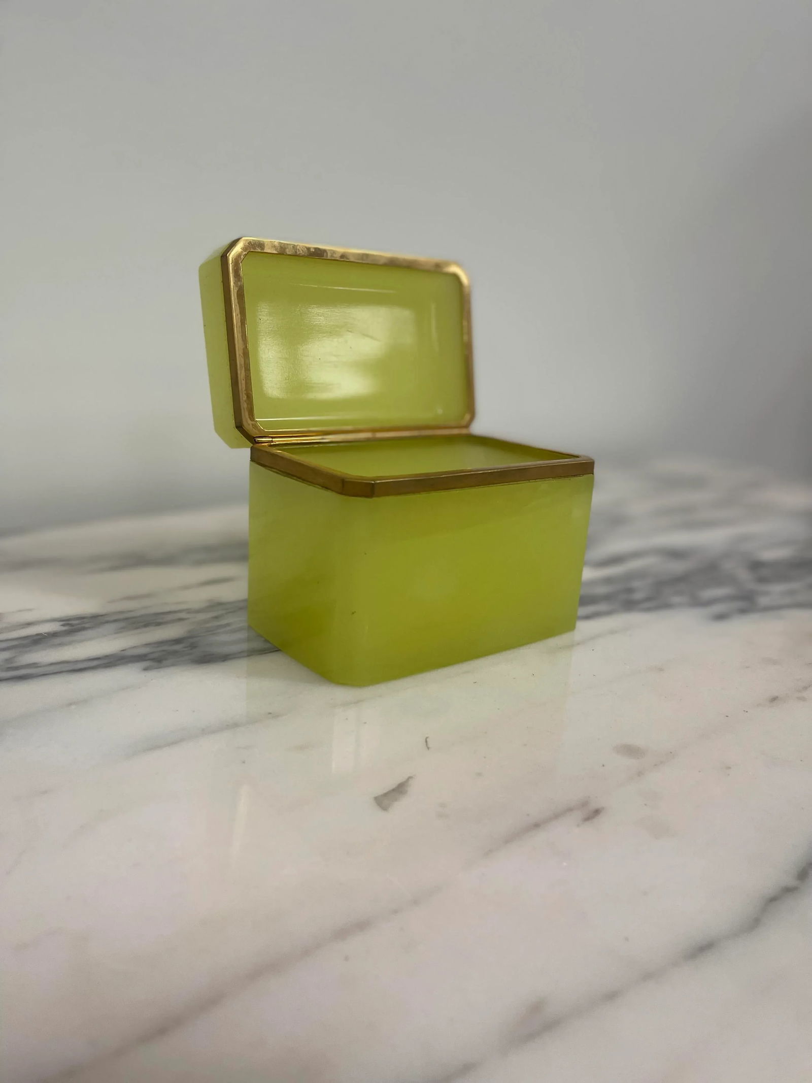 19th Century Antique Rectangular Opaline Glass Casket Box With Bronze Mounts - 5