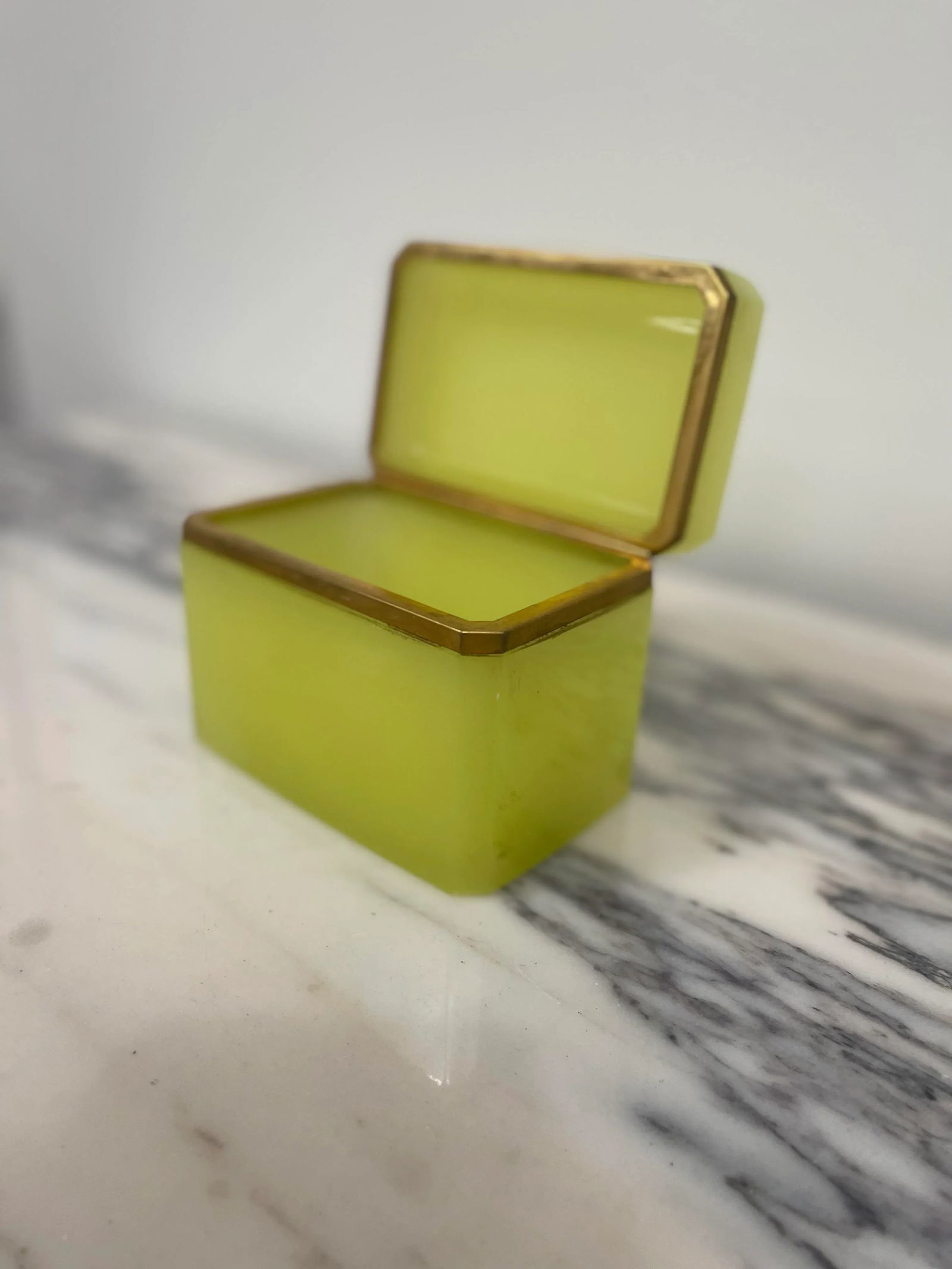 19th Century Antique Rectangular Opaline Glass Casket Box With Bronze Mounts - 6