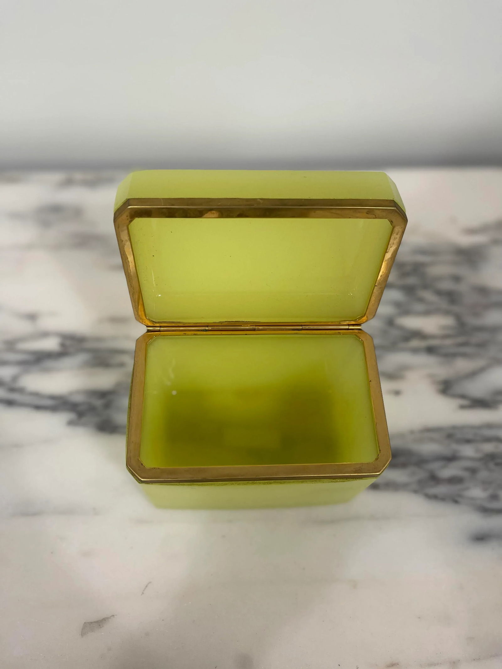 19th Century Antique Rectangular Opaline Glass Casket Box With Bronze Mounts - 7
