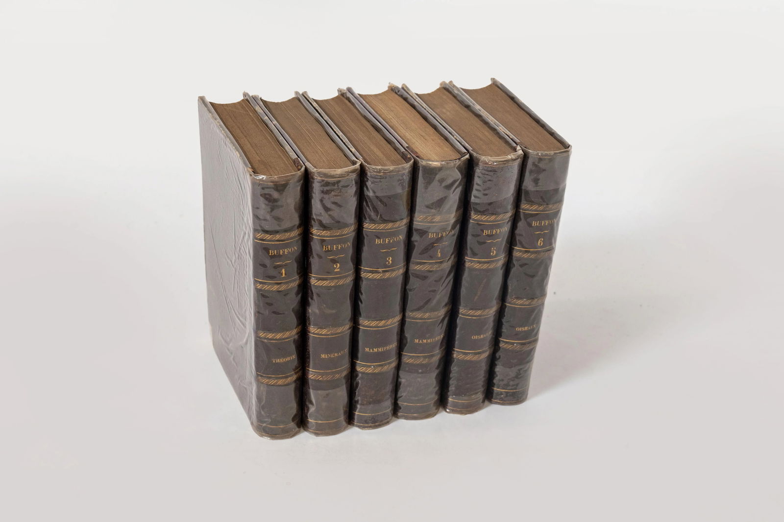 Vintage Book Collection Set of 19 Pieces - 9