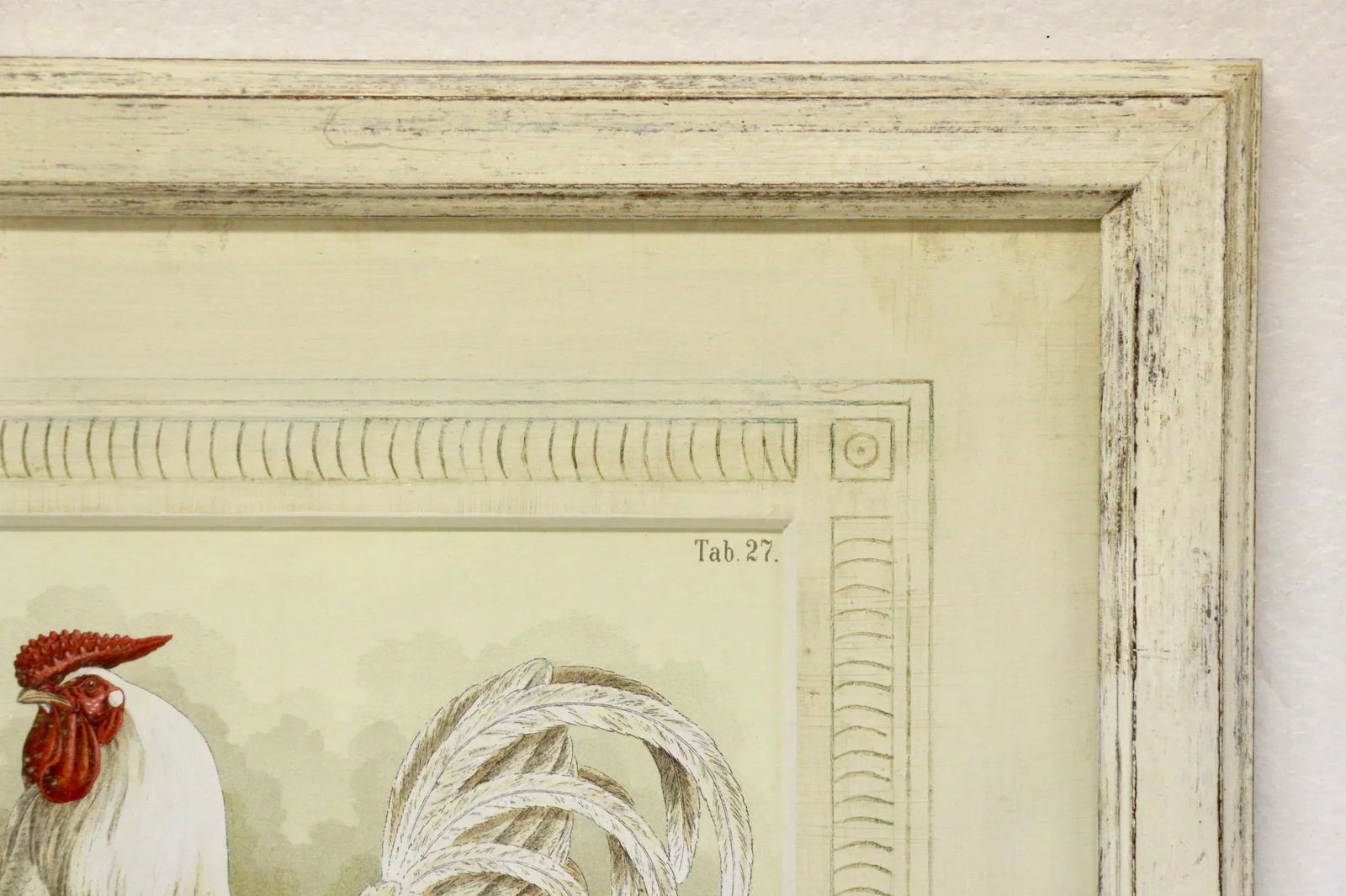 Antique German Framed Chicken Print - 4