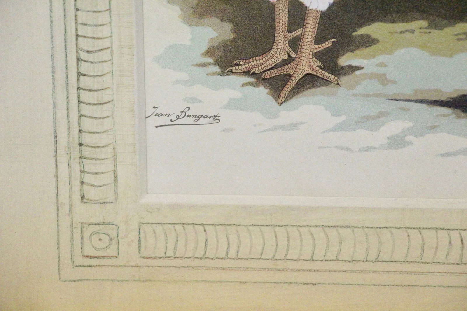 Antique German Framed Chicken Print - 5