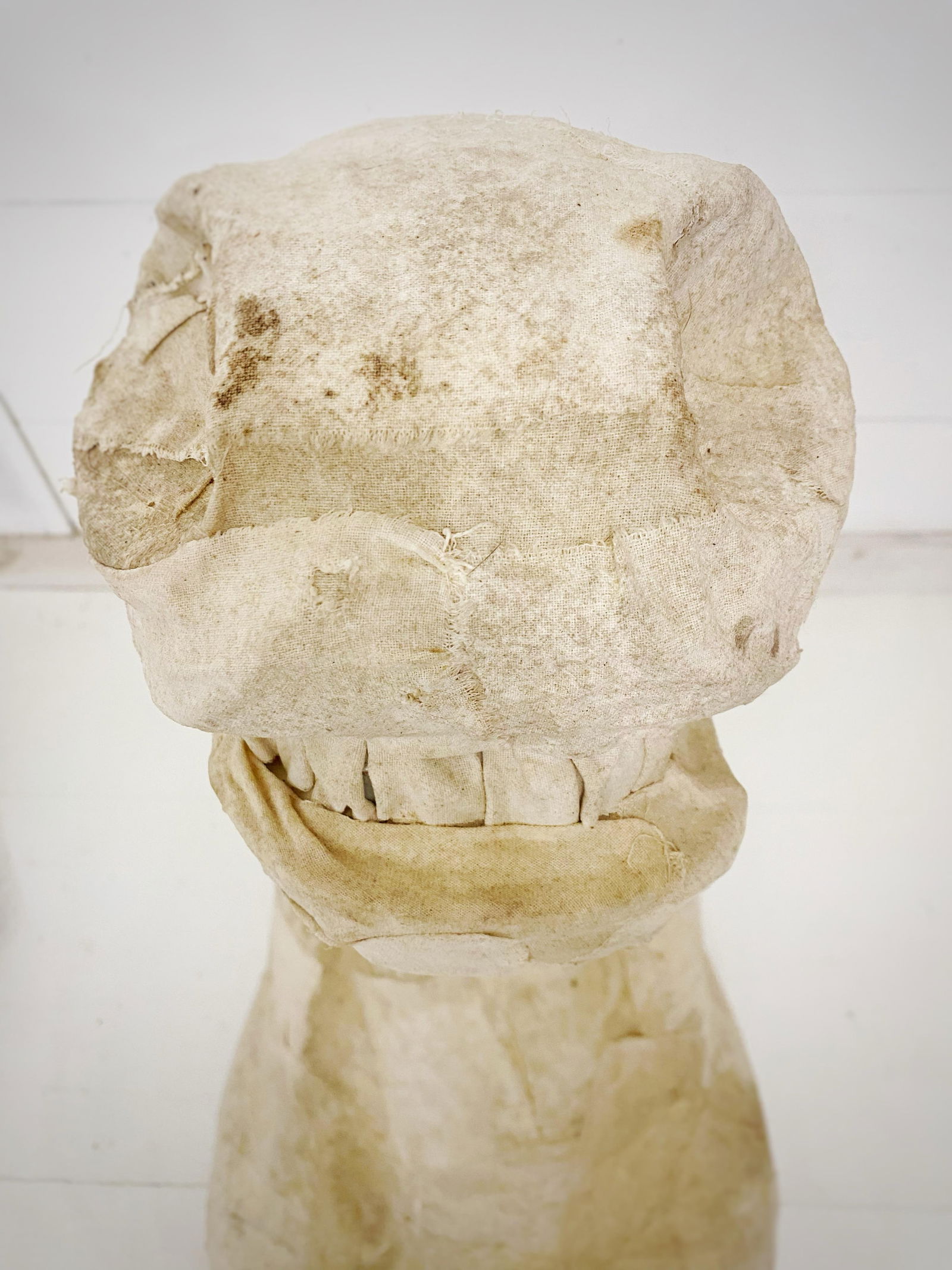 Handcrafted Life-Size Head Mounted Horse Head Faux Taxidermy Equestrian Horse Wall Decor Sculpture - 7