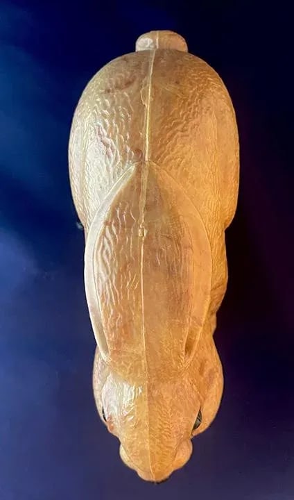 1950s Louis Max Rabbit Wind-Up Toy - 5