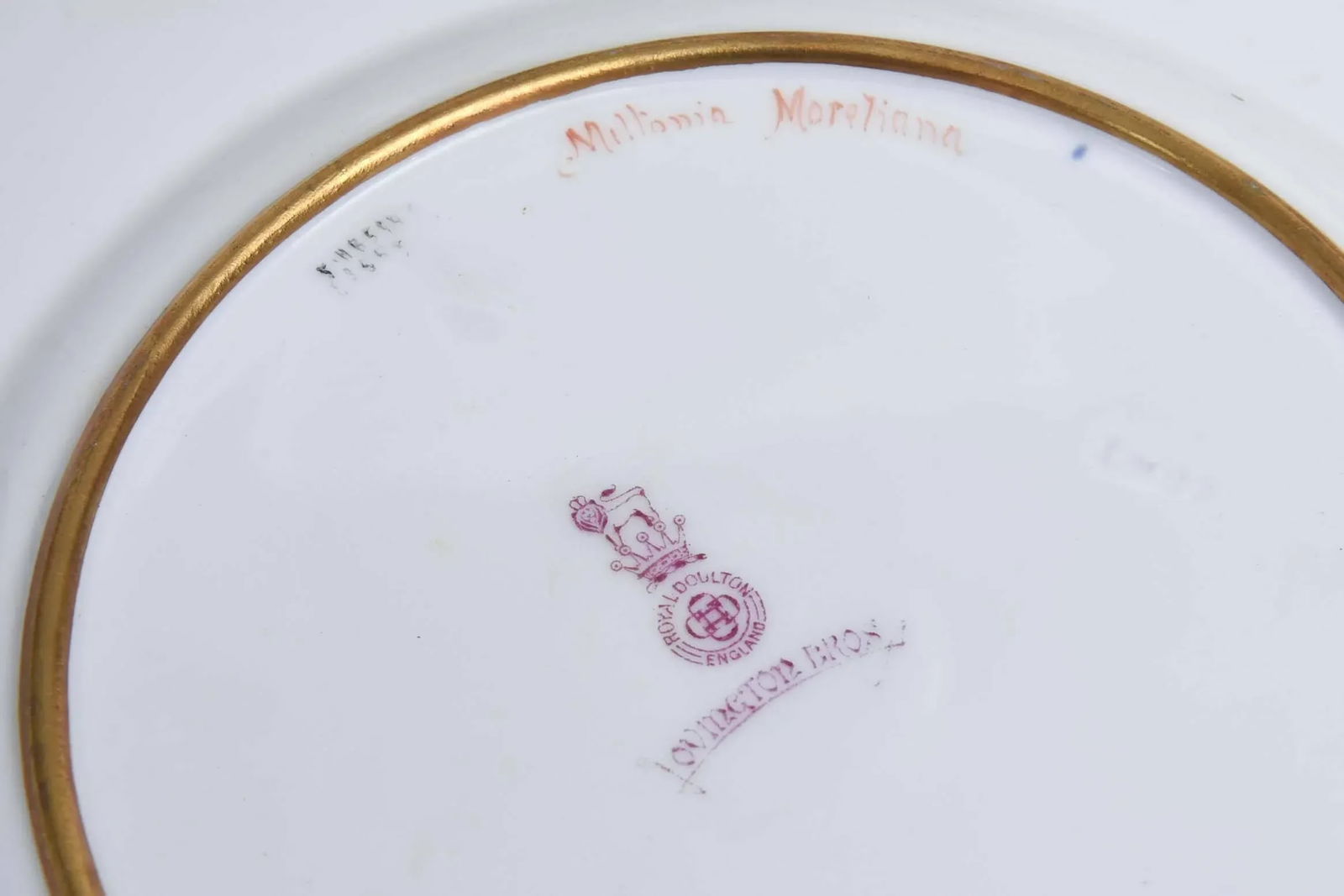 Set of 12 Orchid Presentation Plates, Ornate and Gilded - 6