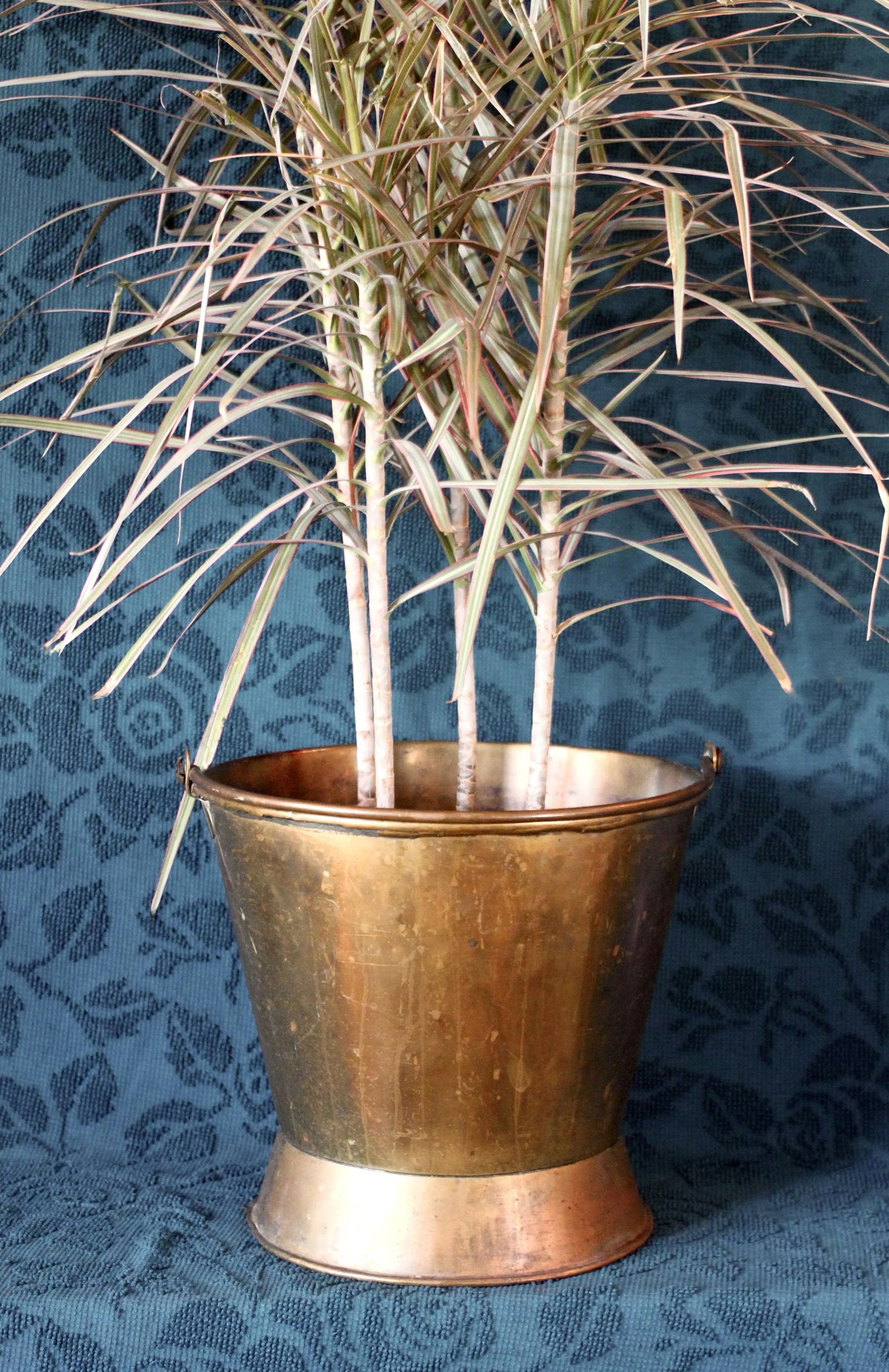 Late 19th Century Large Brass Coal Bucket With Handle - 12