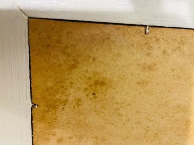 Petite Original Oil on Wood Rural Scene, Vintage - 6